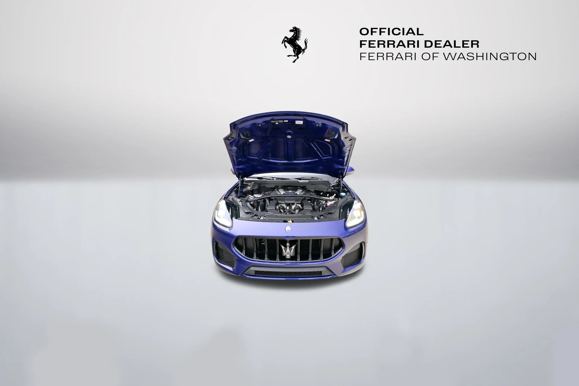 mph062_2264569877_f21d69efa2a4433da43239ce08c6b4f6_7f0876387e