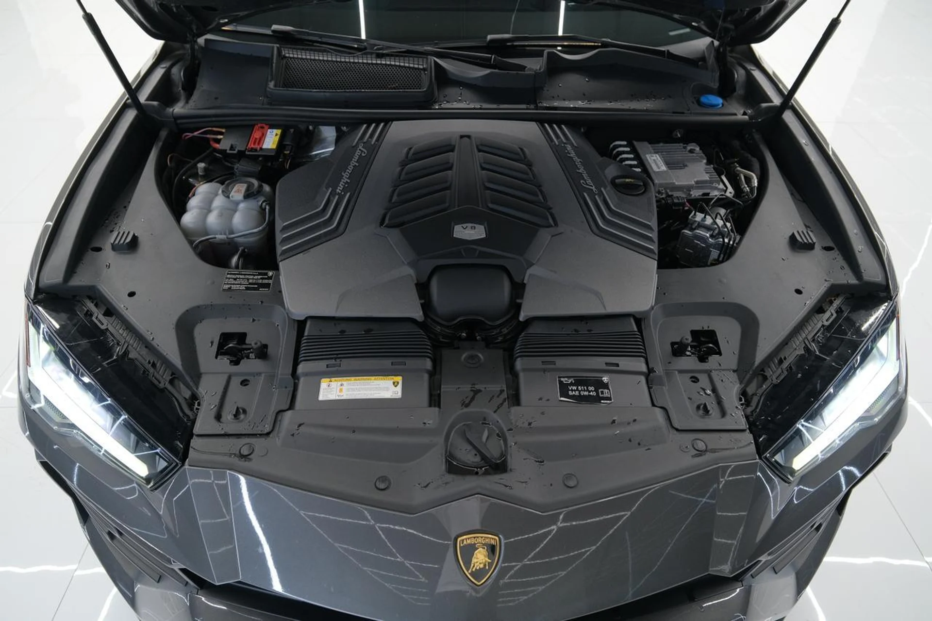 mph062_2528237101_dcca833896f41dc35c882a5a65f37563_4b9e551108