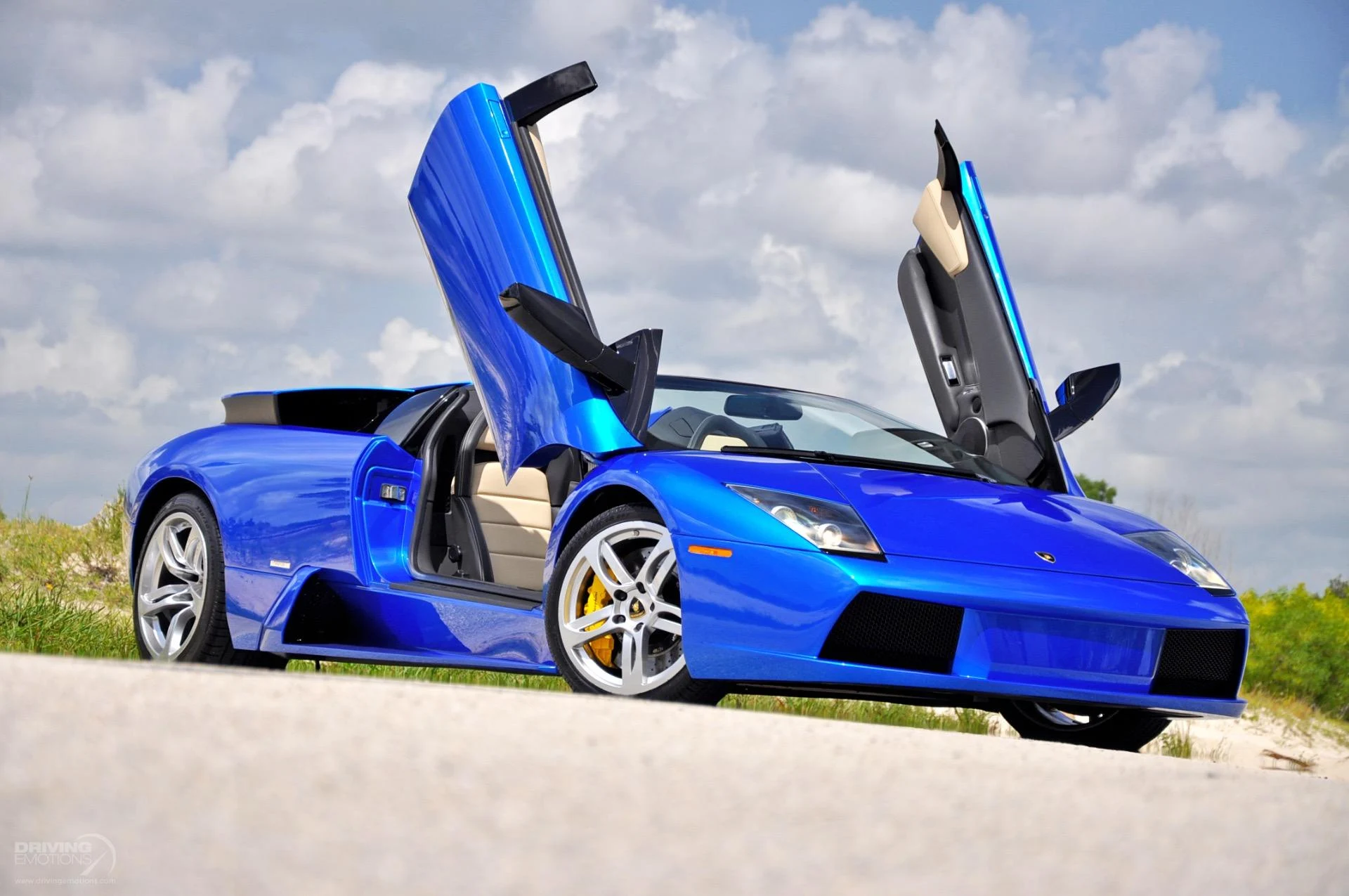 mph062_2596176543_325_p63_l_b25d91a059