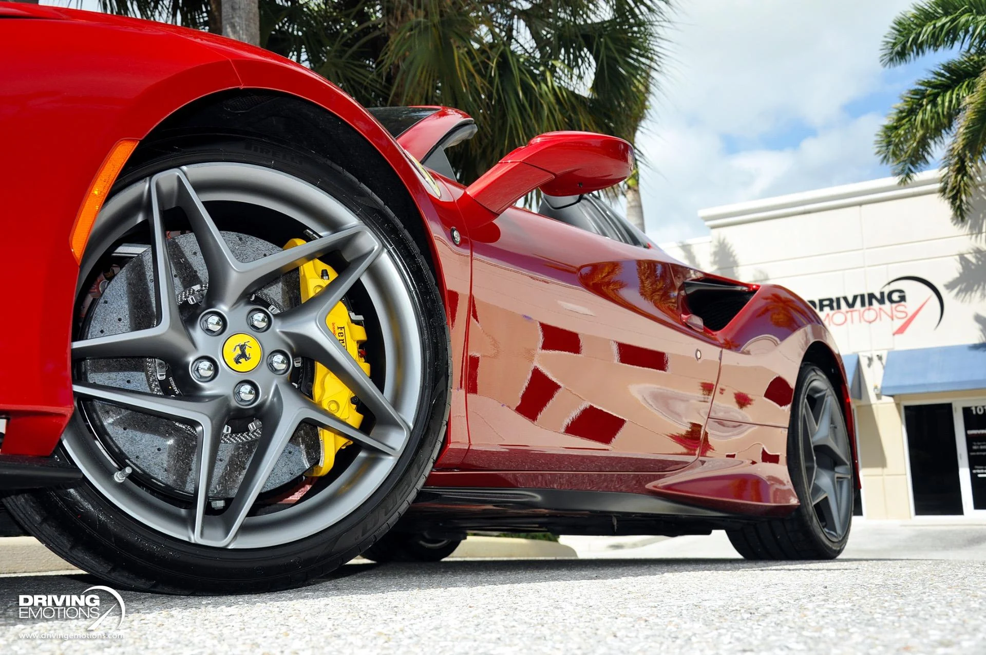 mph062_2774214841_896_p63_l_65d9619dd5