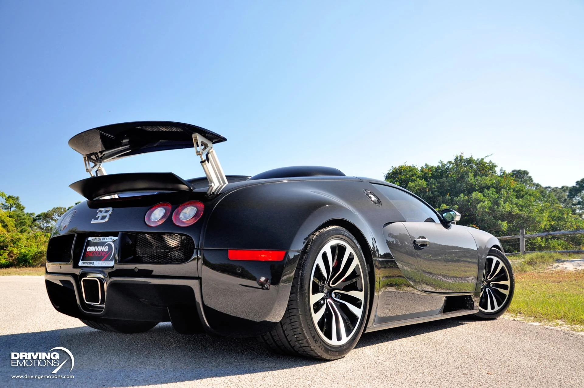 mph062_3936272033_479_p63_l_0cff19dc1f