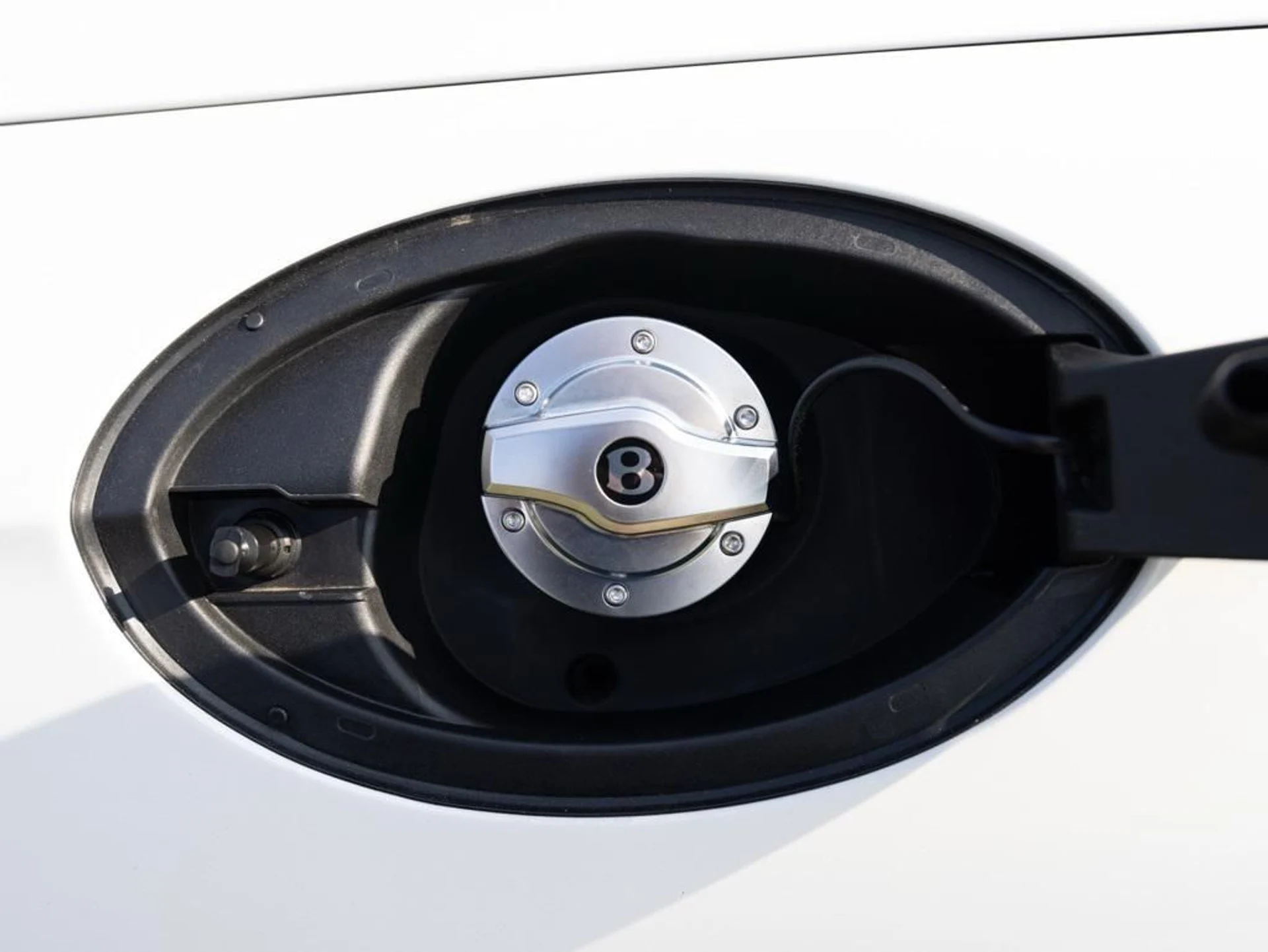 mph062_4036385880_478617943_692fc9e706717eb16b65ece9_25333f27e8