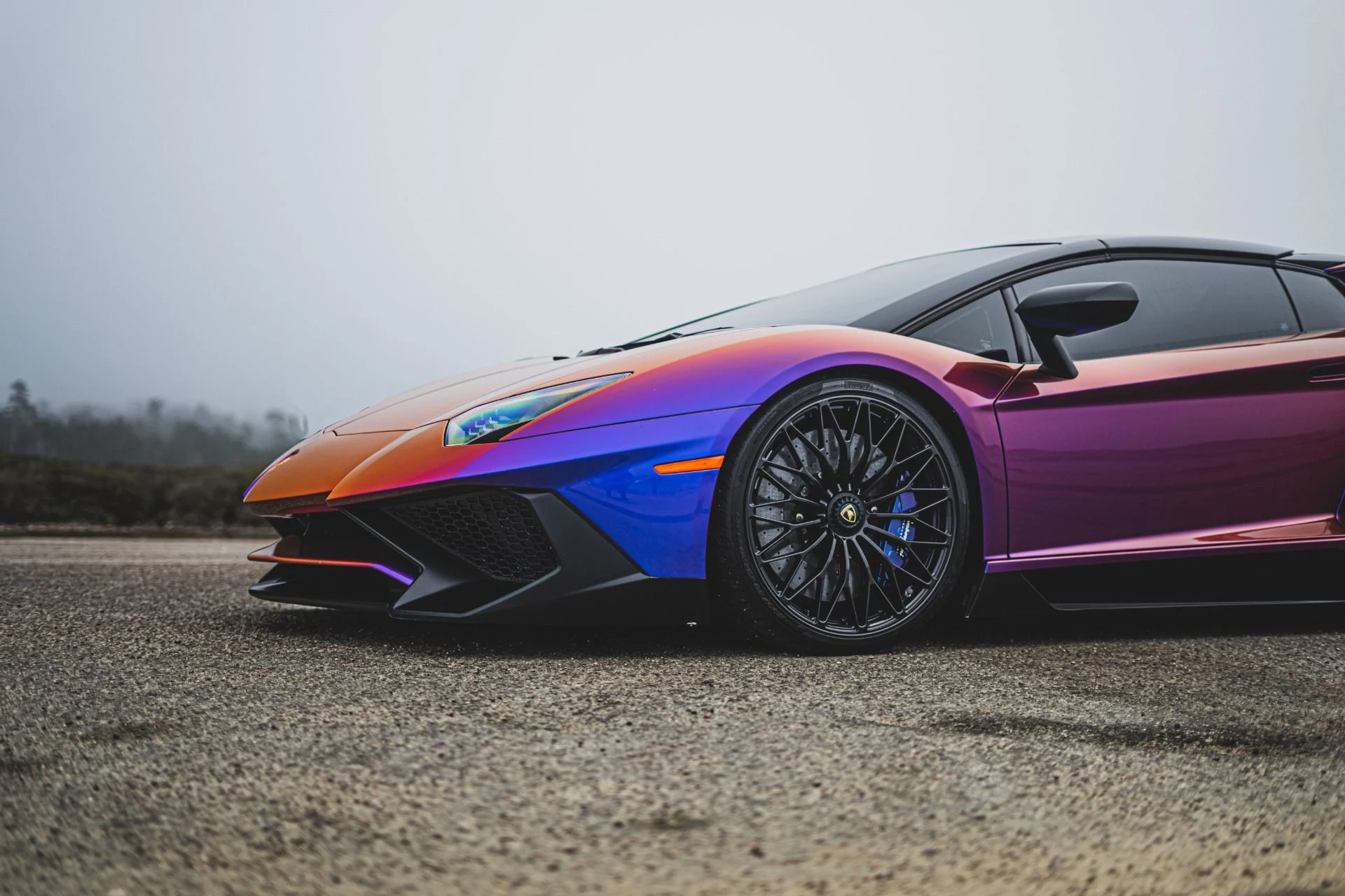 mph063_1820720484_8742_p64_l_a3b5991e34