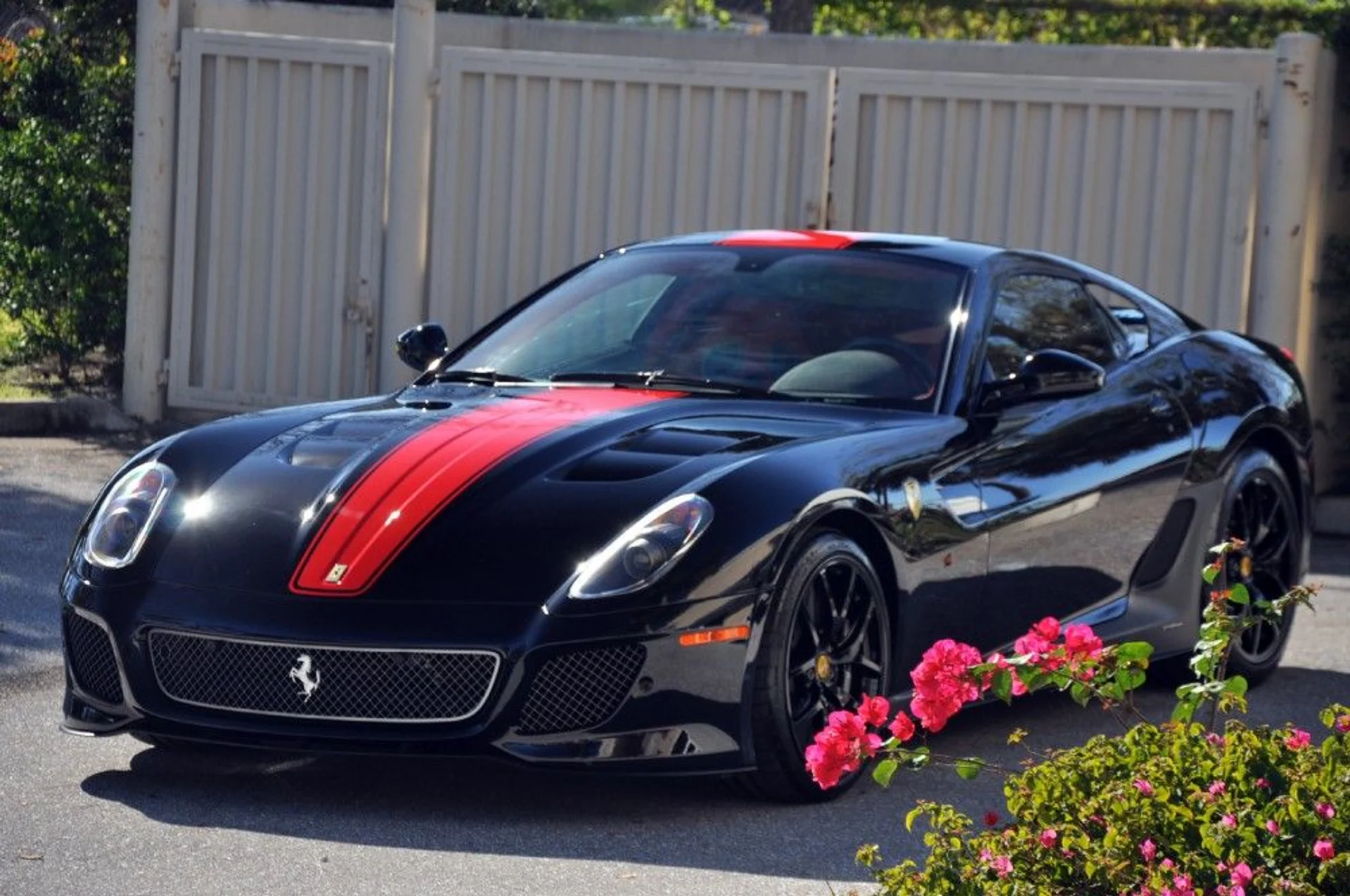 mph063_1949634432_82_p64_l_562589b4a9