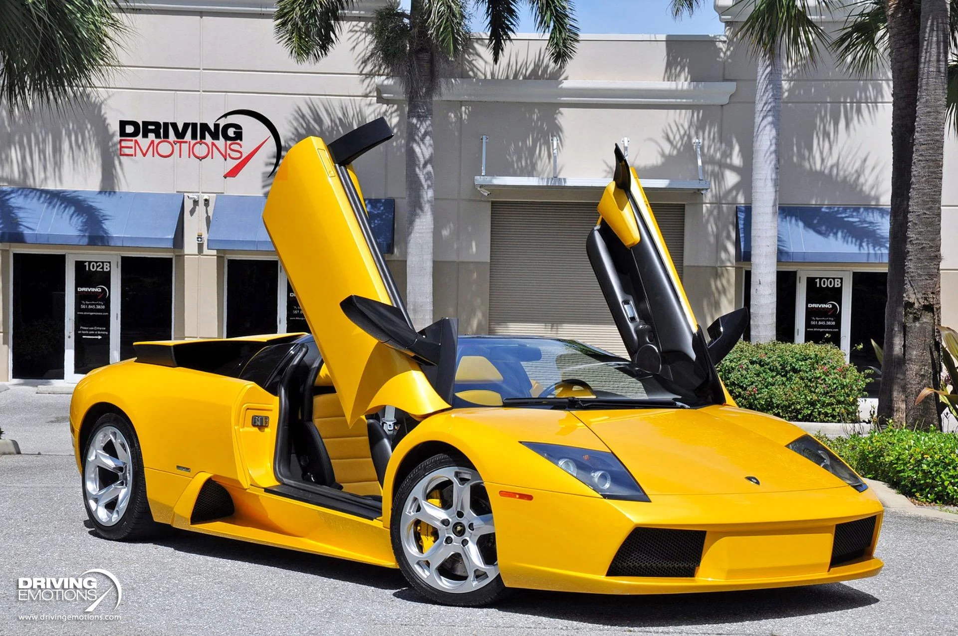 mph063_2660090463_862_p64_l_5f905faf64