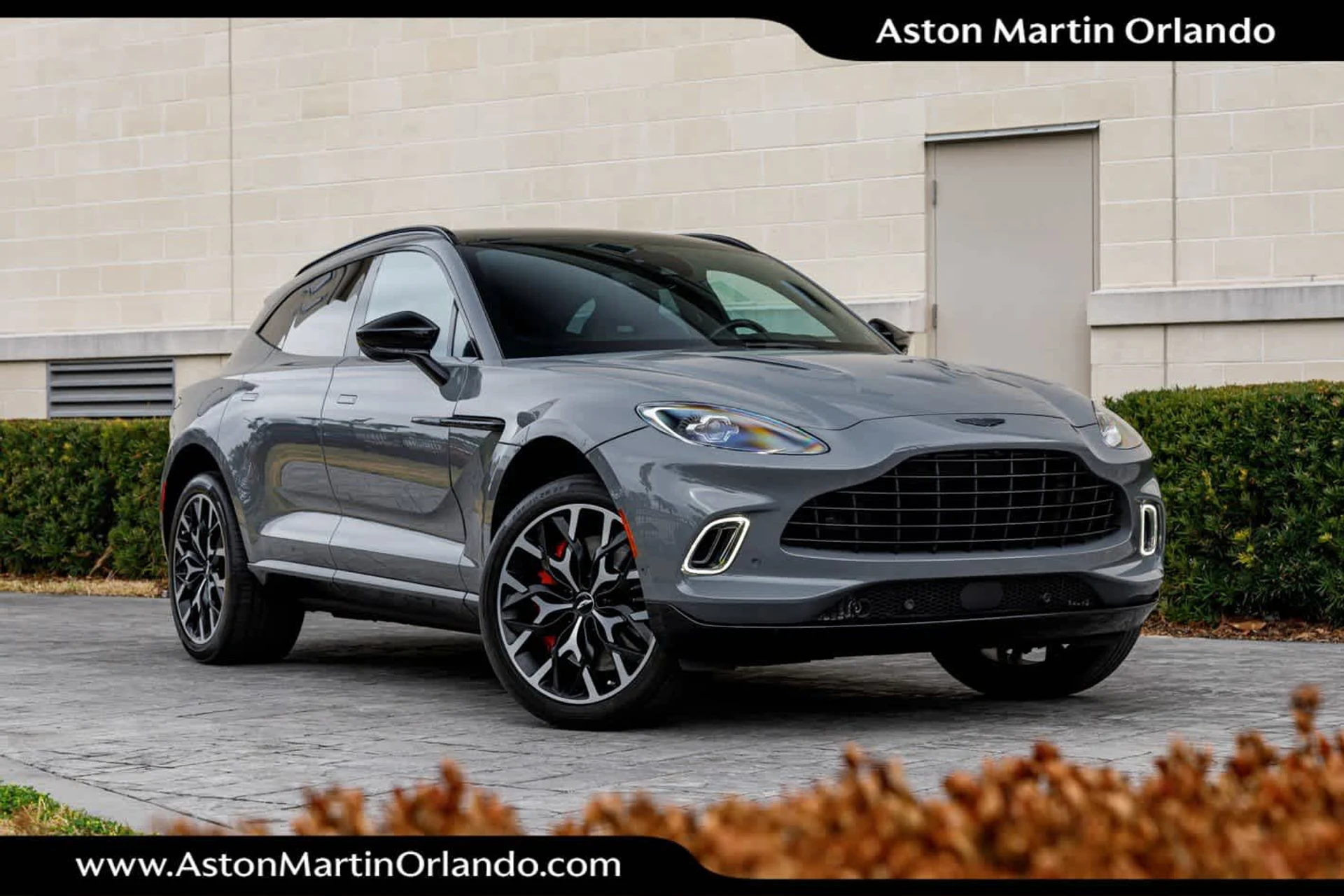 mph063_272146688_64_7846e8aa3c