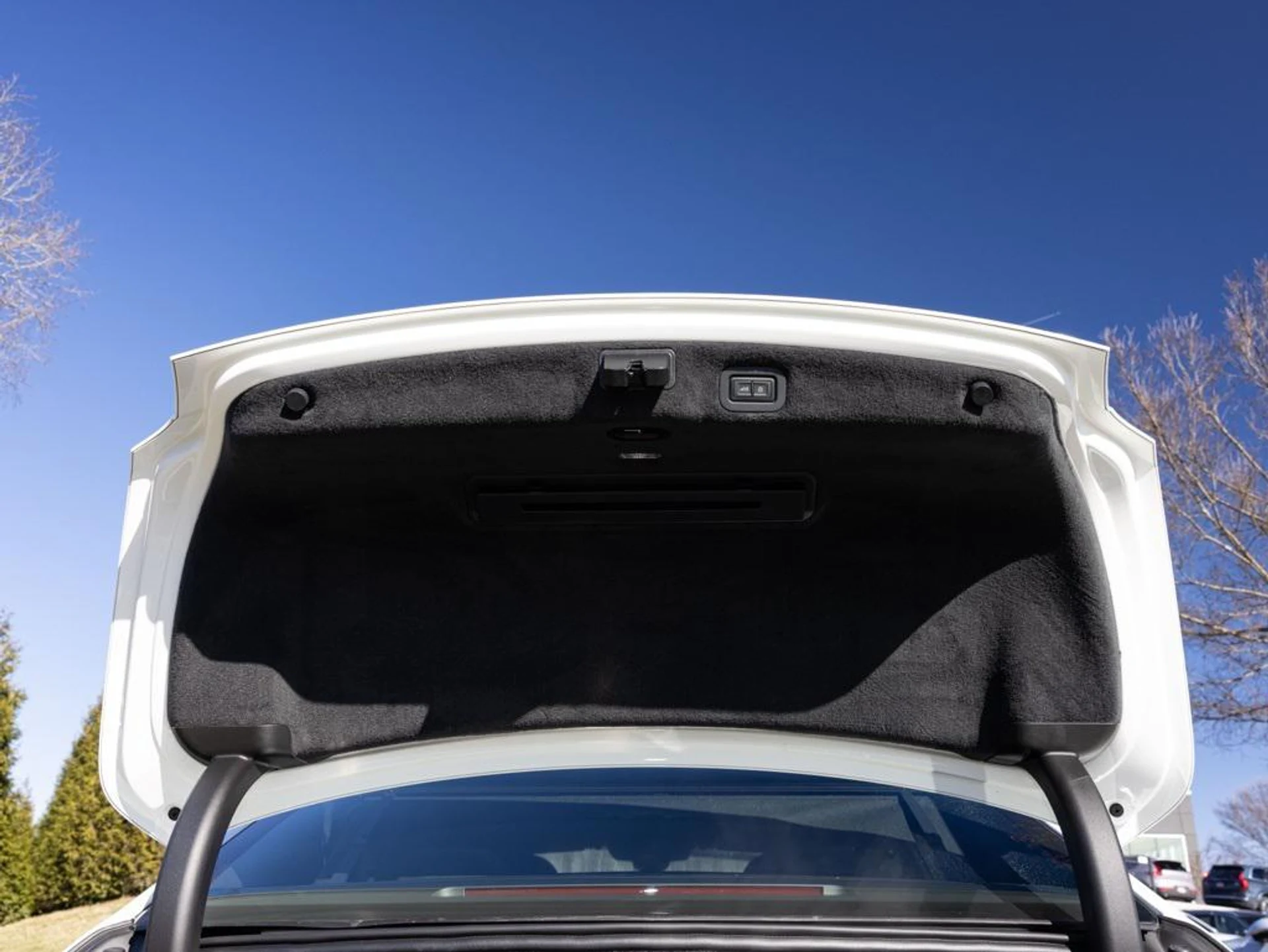 mph063_2936983215_489450284_696fa267247726b502ba2733_e0028c2713