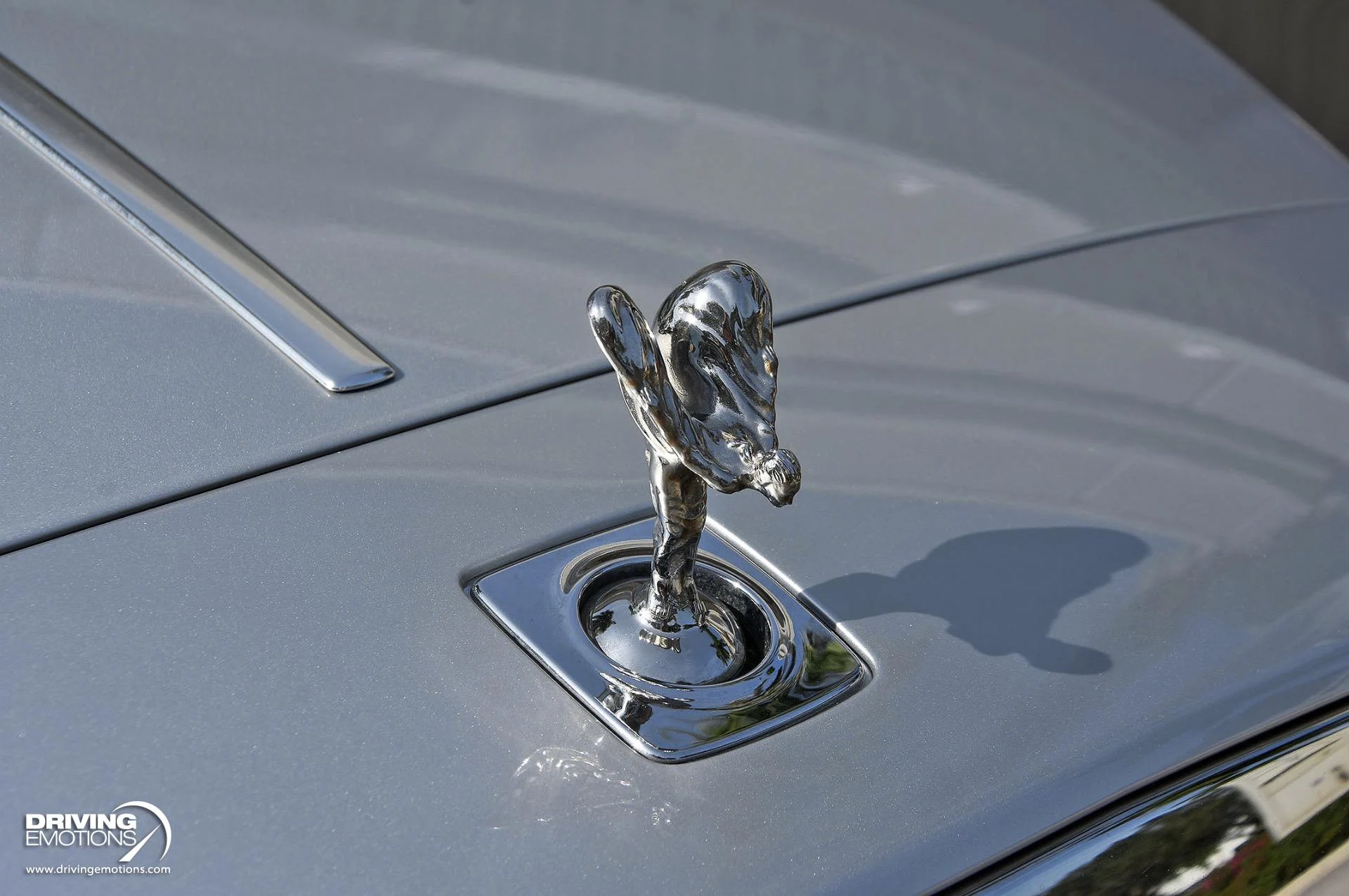 mph063_3137141675_883_p64_l_cc0b171444