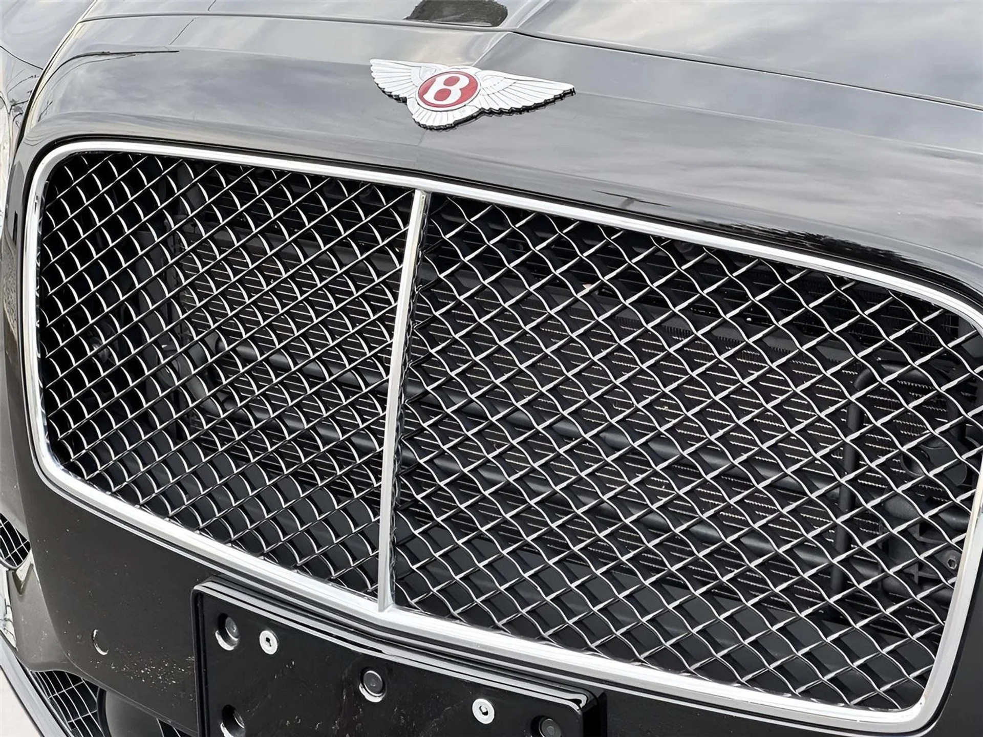 mph063_3442590671_925914961d5ec5fd6adf3ec45bc282aa_b75054a89e