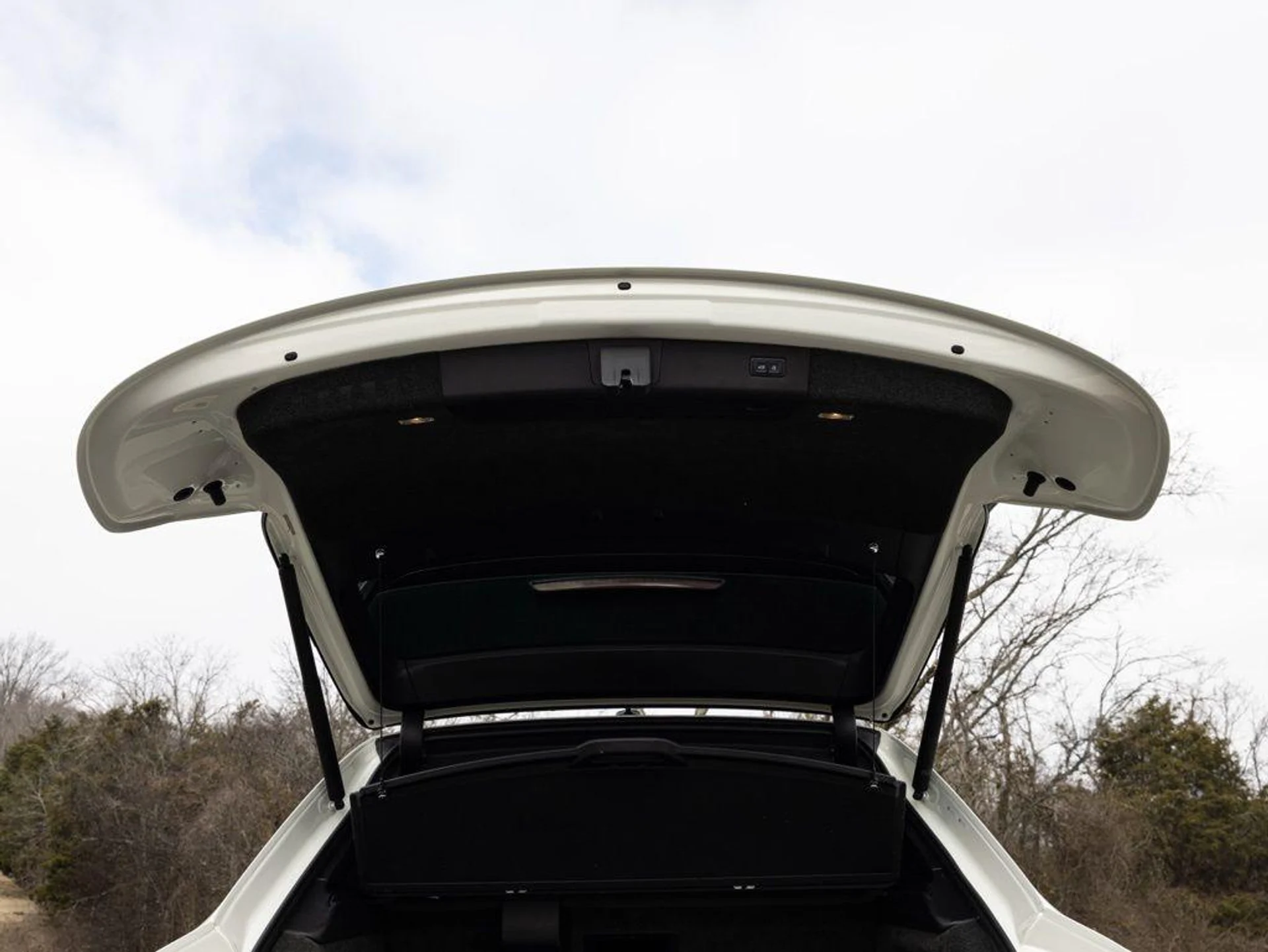 mph063_3568779403_492619448_69860447180868074e36c6c5_0744c4a36f