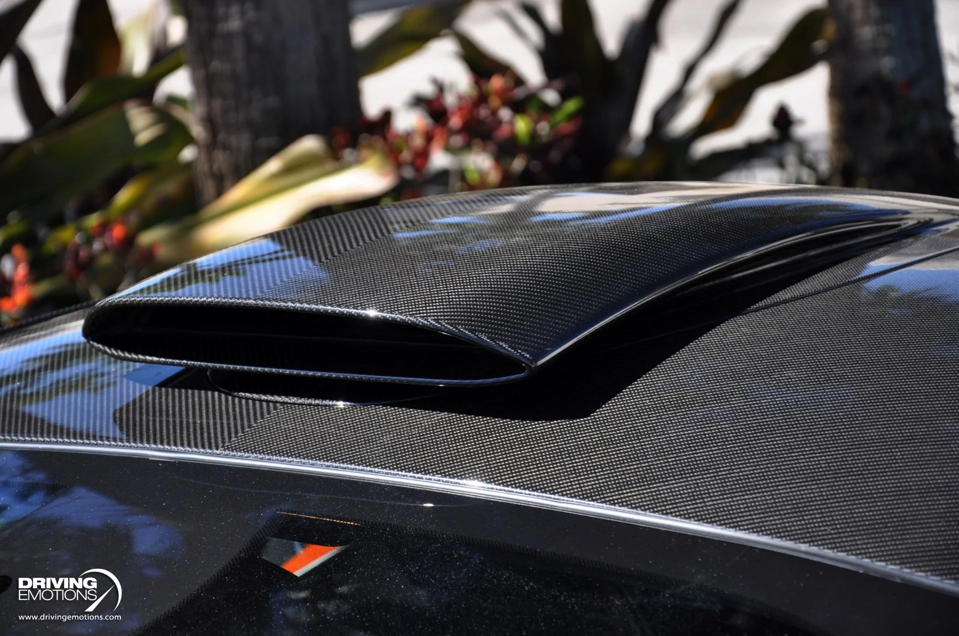 mph063_4250670189_836_p64_l_67b722155c