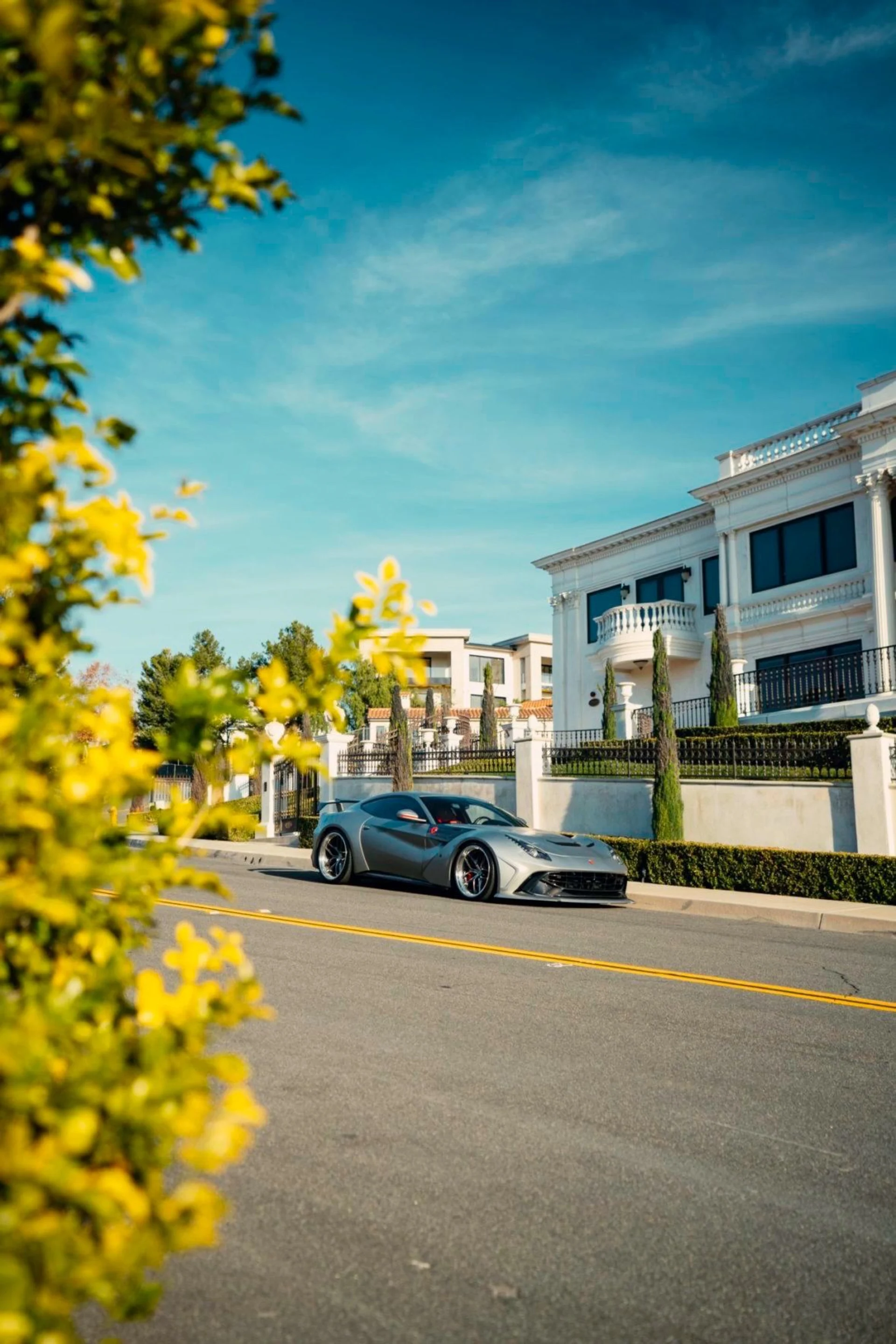 mph063_526173961_12194_p64_l_c5a0b94001