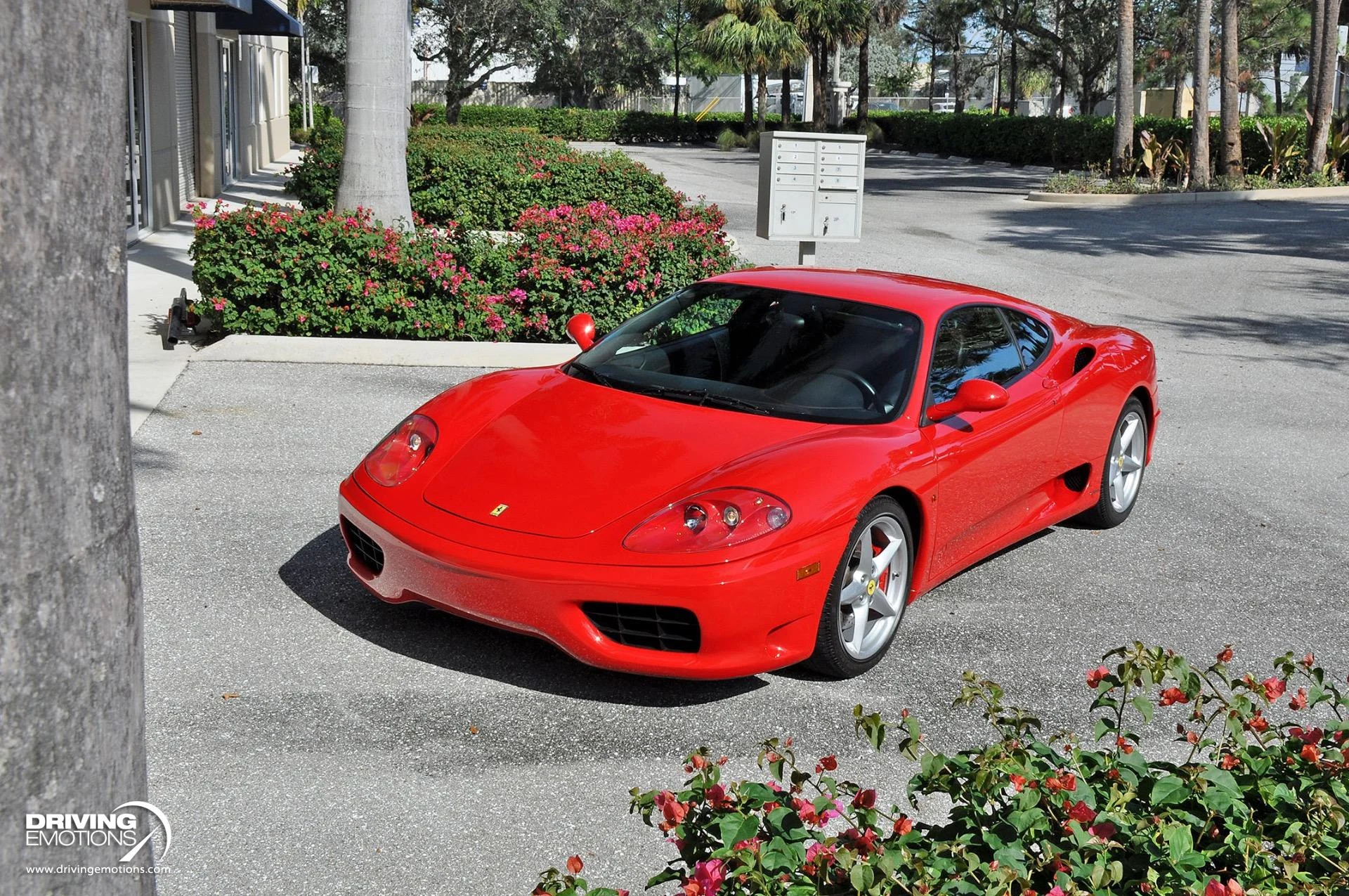 mph063_61360446_824_p64_l_7b33b9df7d