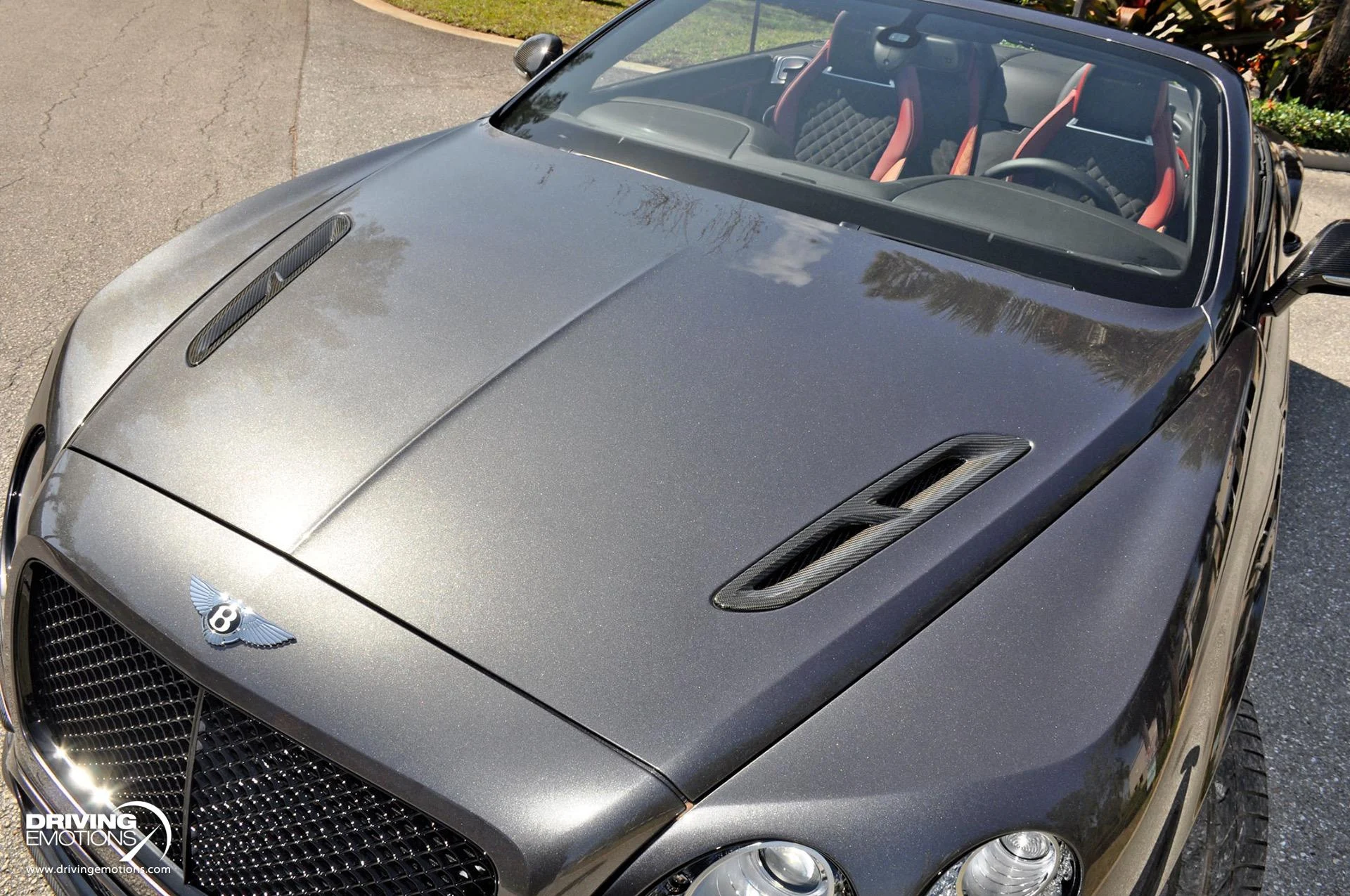 mph063_697546291_891_p64_l_817d2497f6