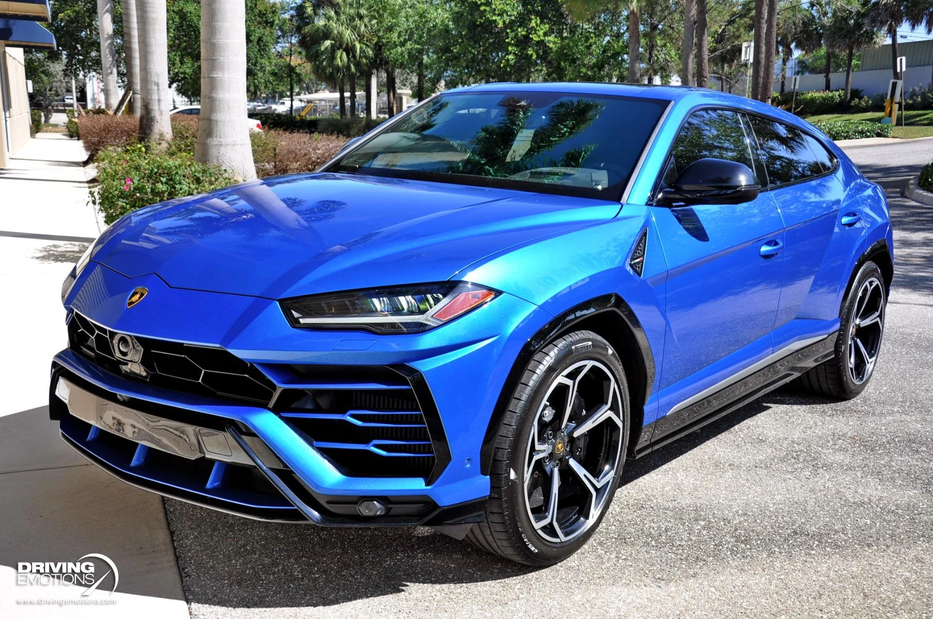 mph064_2966438782_801_p65_l_757792e8de