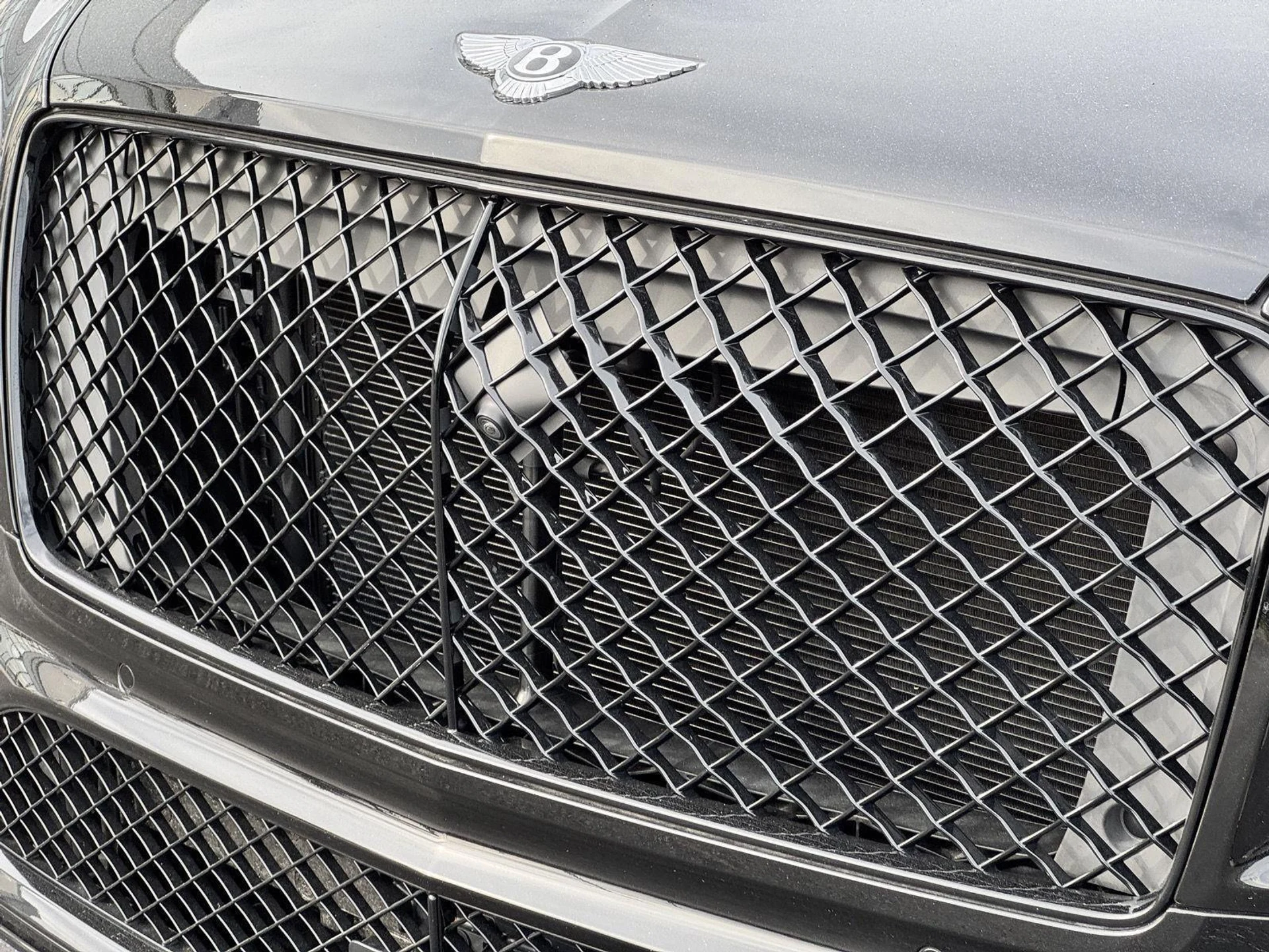 mph064_3078813106_540ed901febdfdb37a40414d4943923d_bf00fdac85