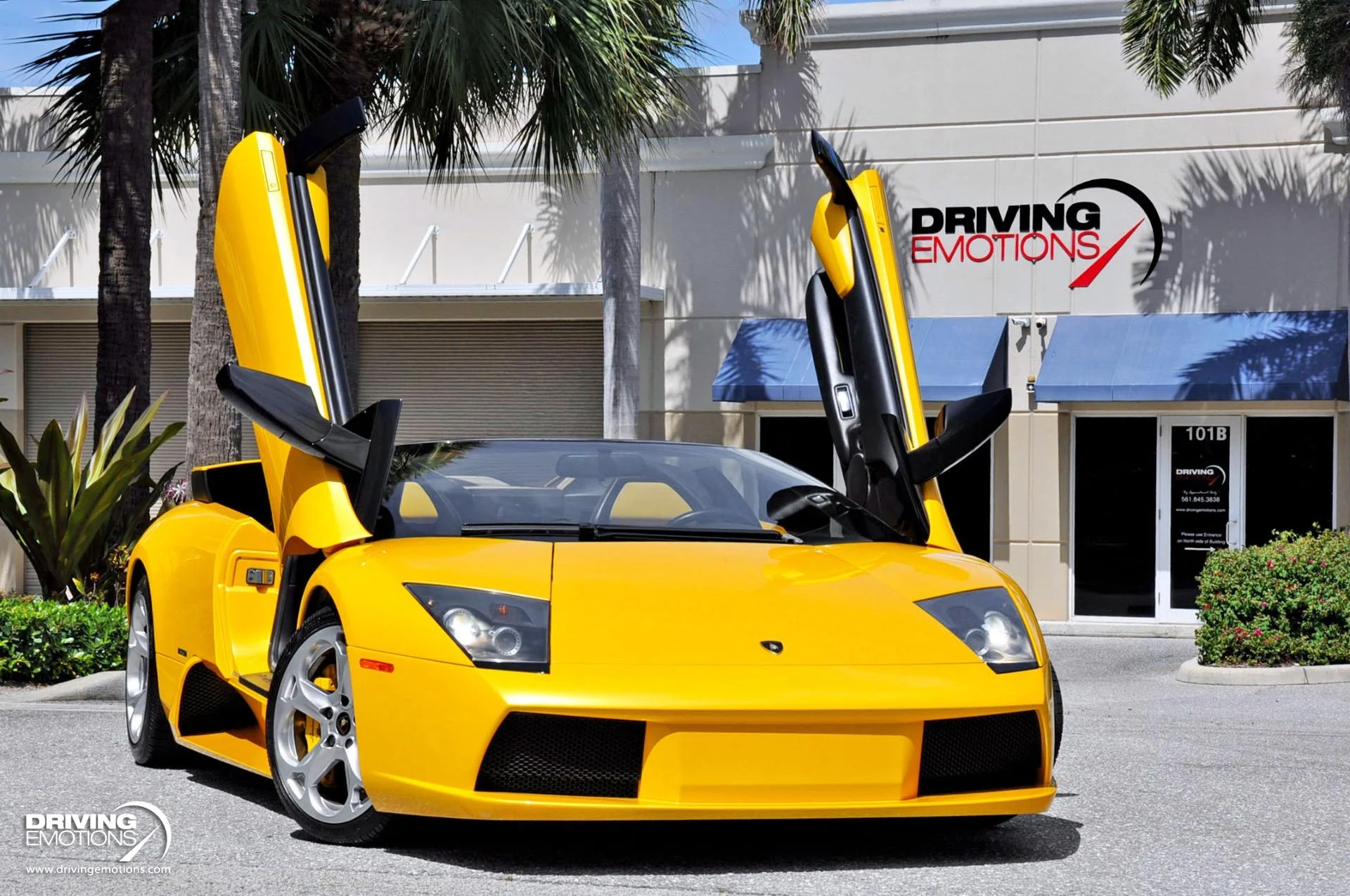 mph064_3084953015_862_p65_l_cf581cb44e