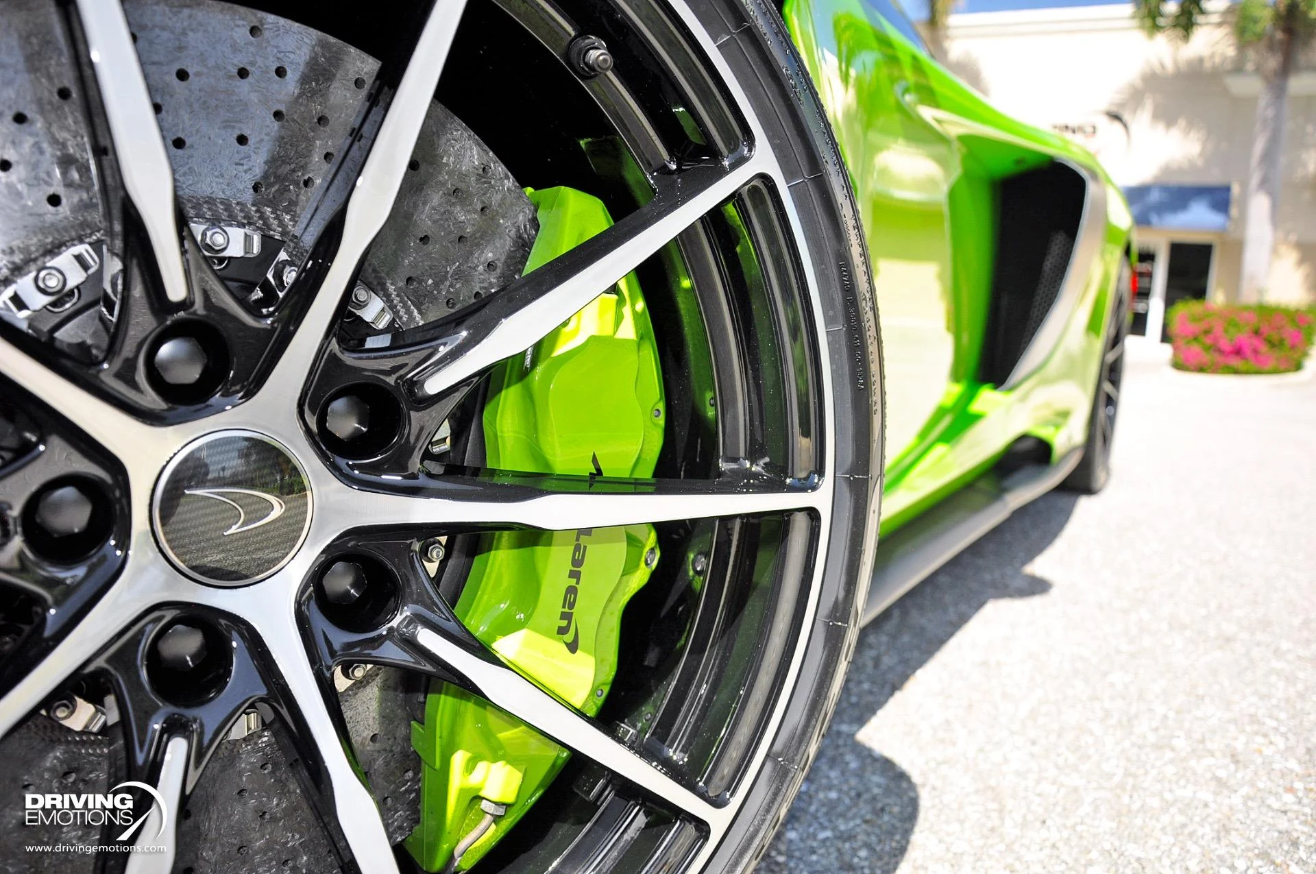 mph065_129117966_855_p66_l_cce0d6f445