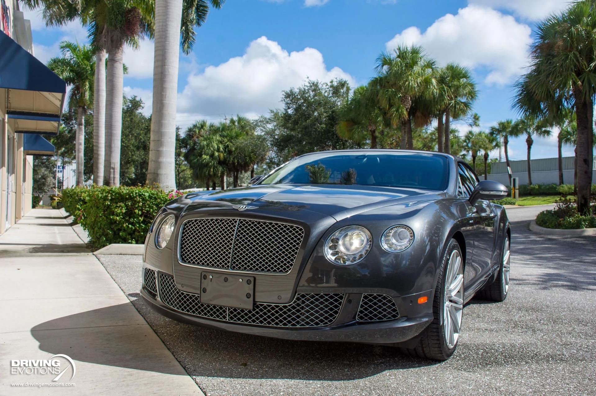 mph065_1539002547_871_p66_l_b2c57f6657