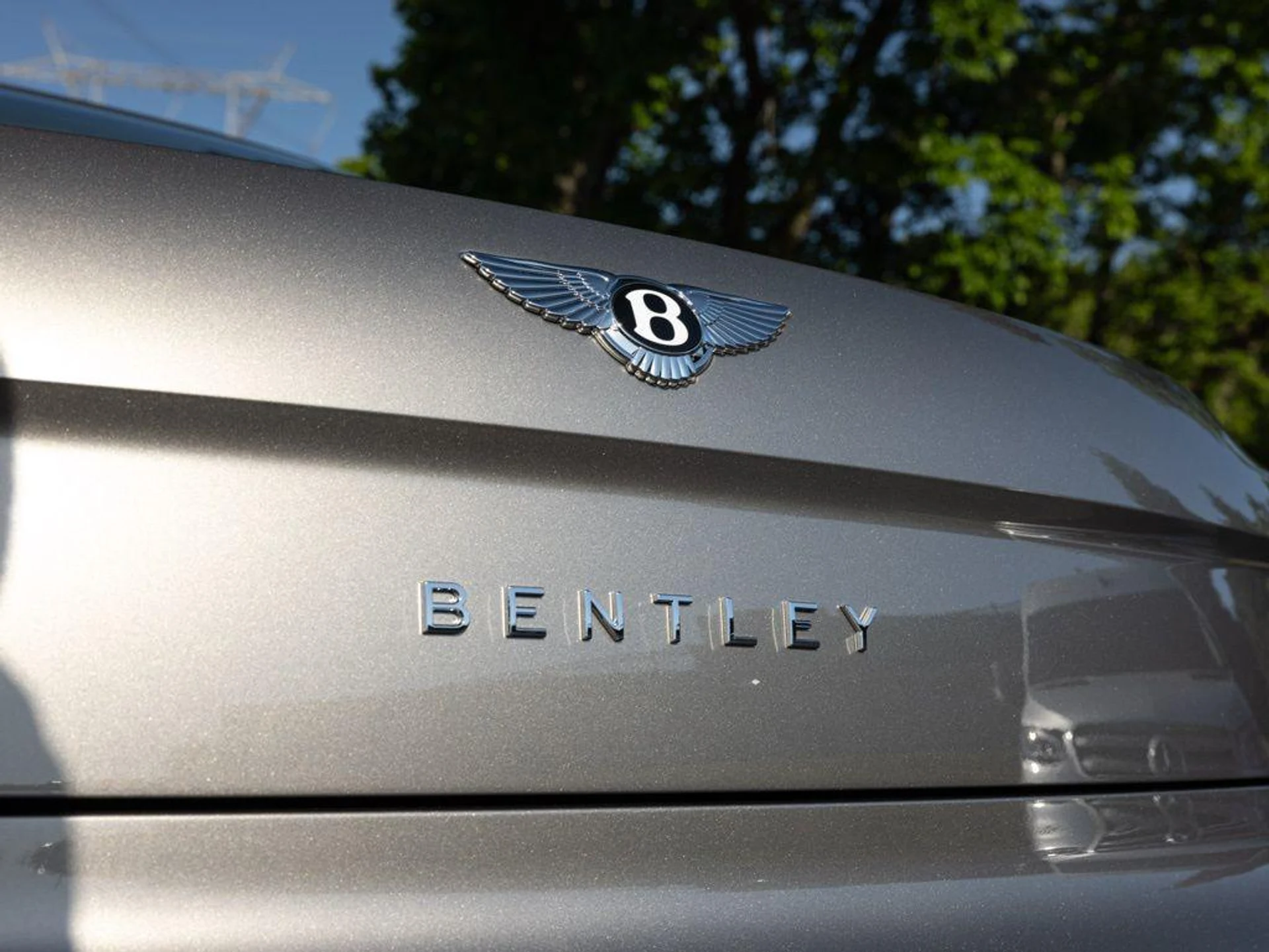 mph065_3108948924_514426019_69ea40eea250cd82d00a2461_d0e7f6f28e