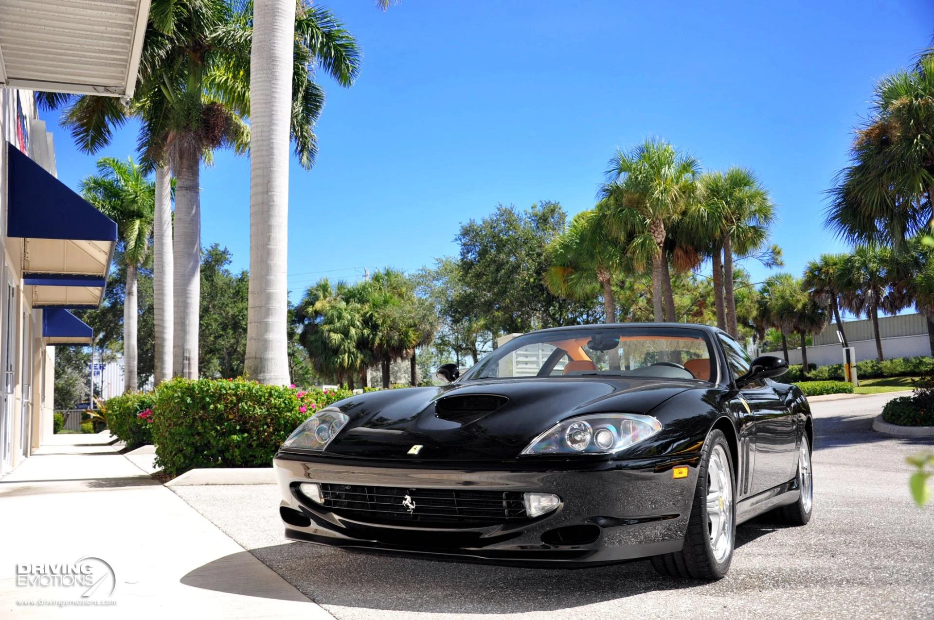 mph065_3202885116_284_p66_l_62cda96b4b