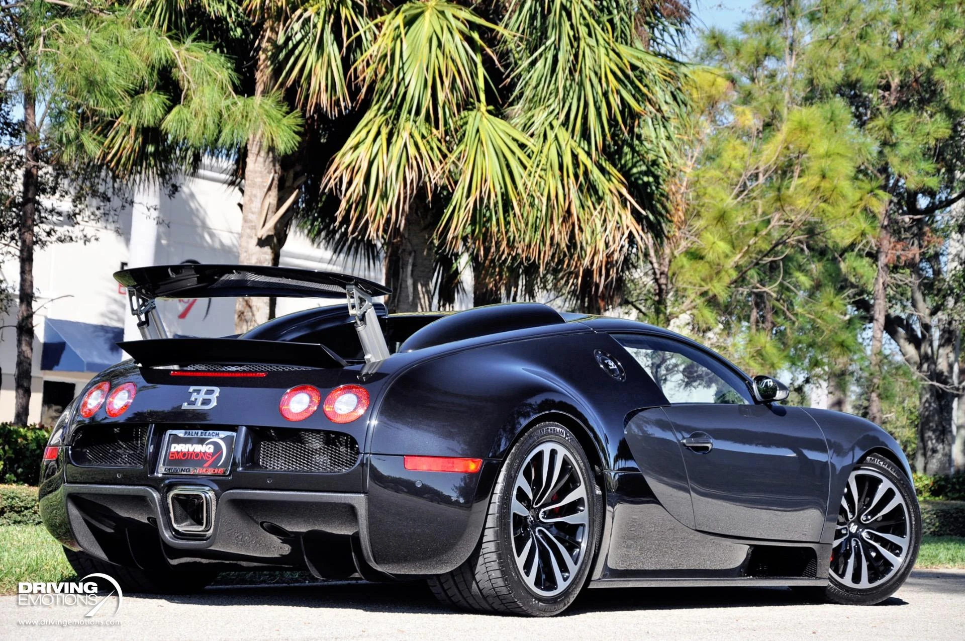 mph065_3947855478_479_p66_l_55643e816b