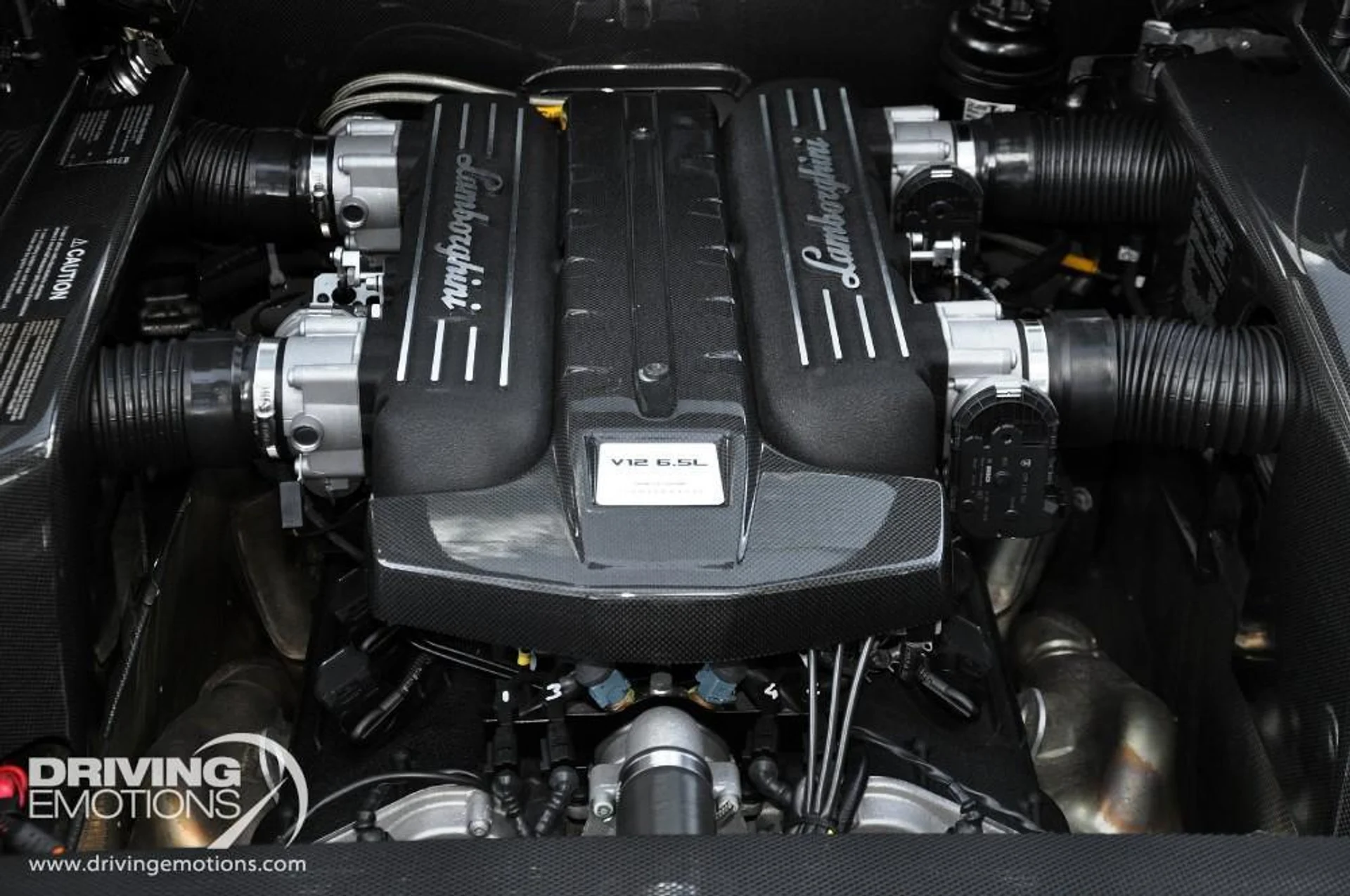 mph065_407670945_15_p66_l_02faa55ae2