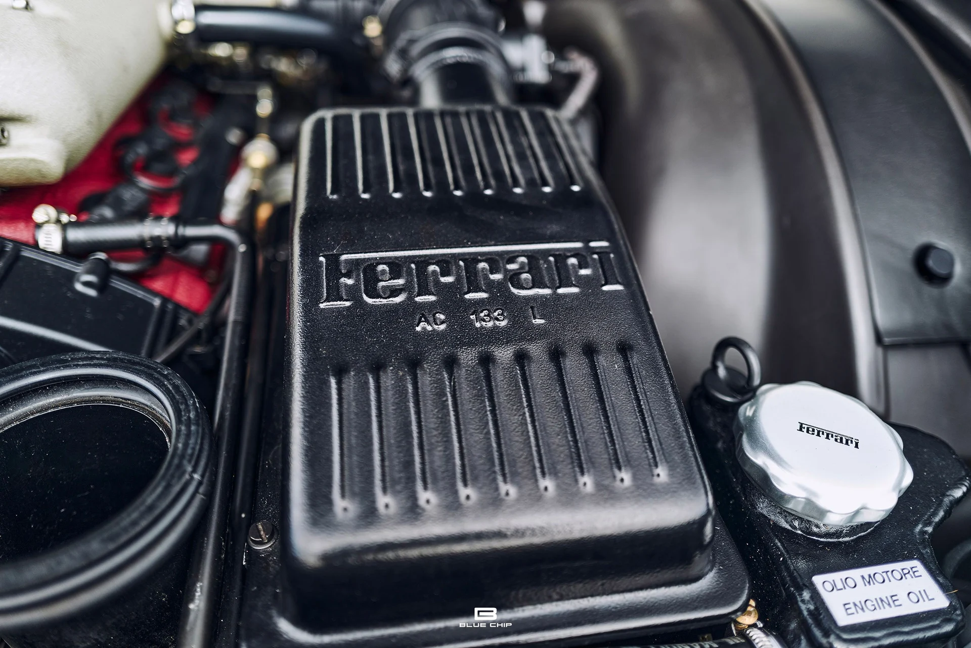 mph065_917911022_69b474a6631084a7ff87e281_L1190479_47405680a2