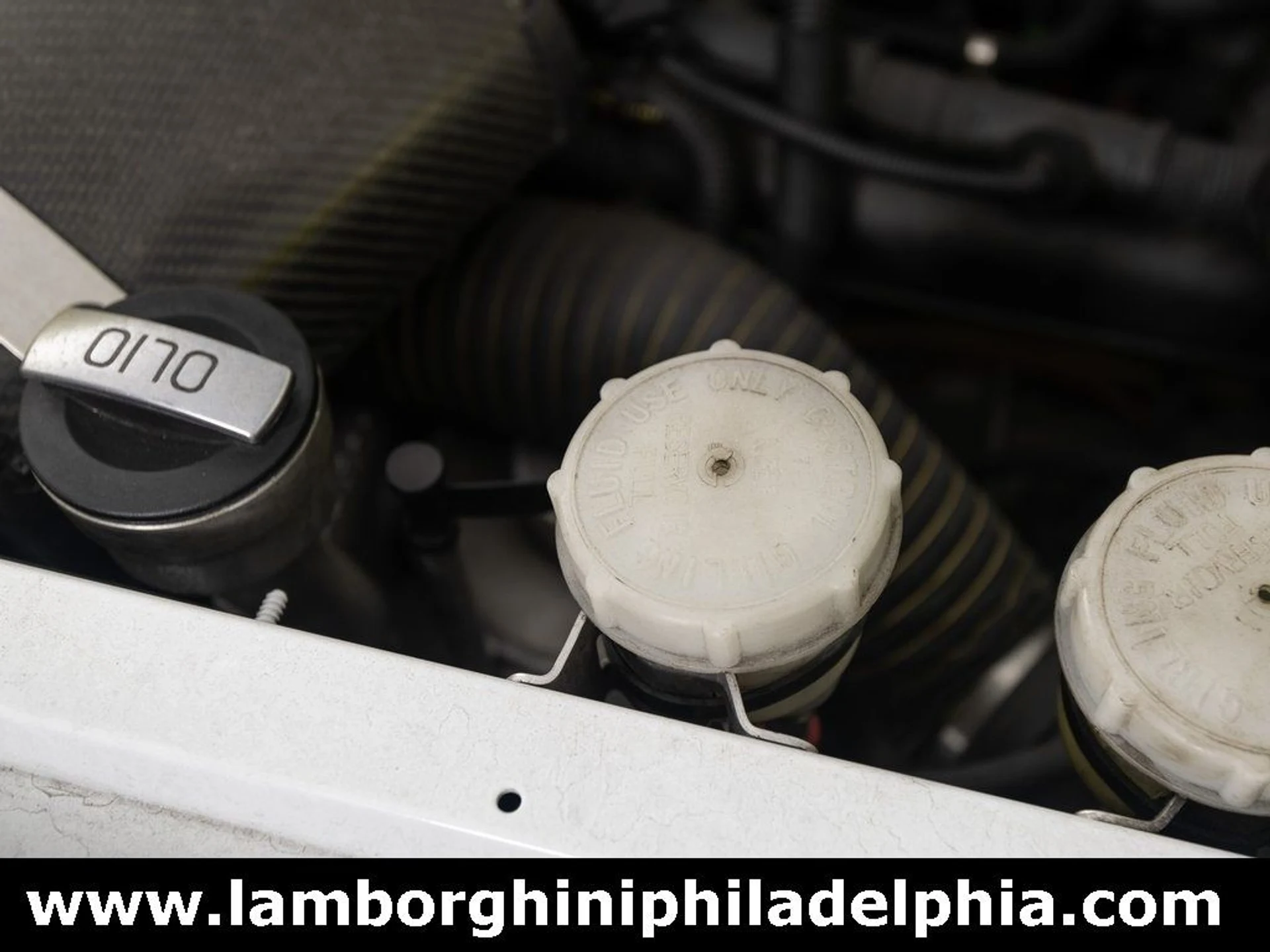 mph066_1768693388_fe1d631de89928e1fc5f3e00b63a5a21x_4a142c51fe