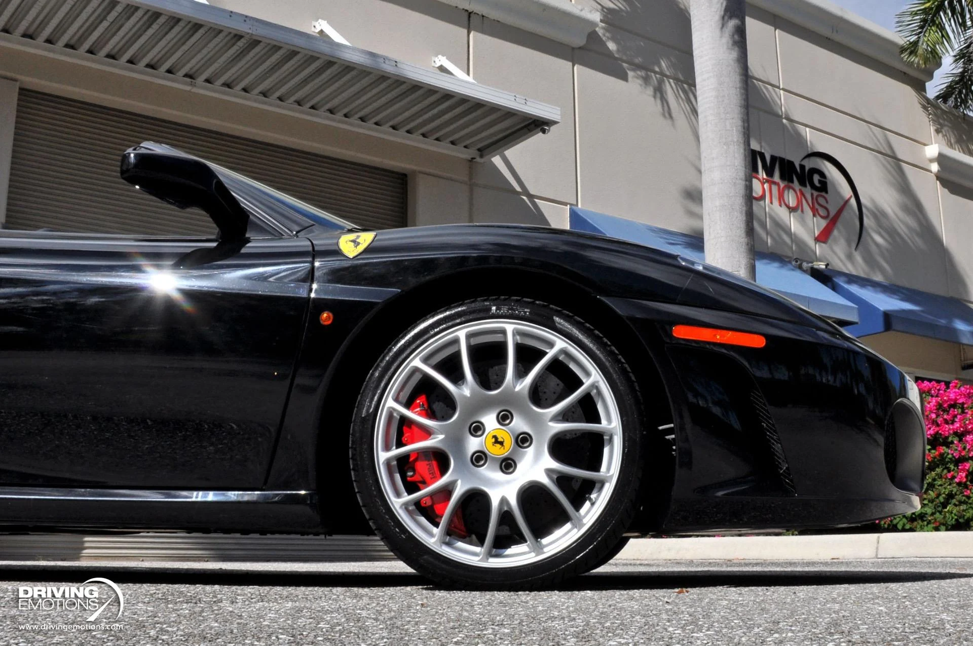 mph066_3410096316_885_p67_l_20b78ab5db