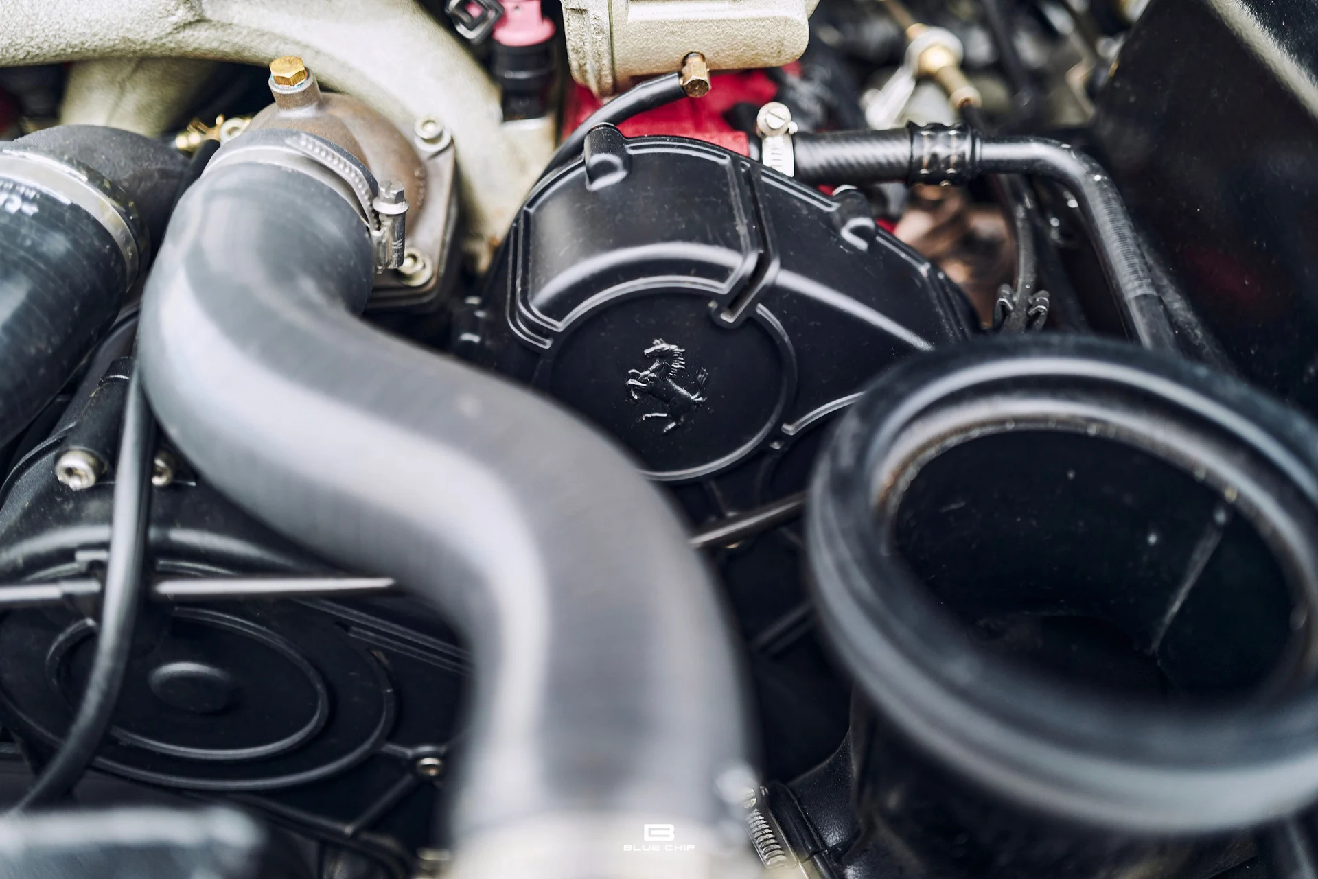 mph066_3502106484_69b474a53c0c1ff0cdeda16a_L1190480_f097128187