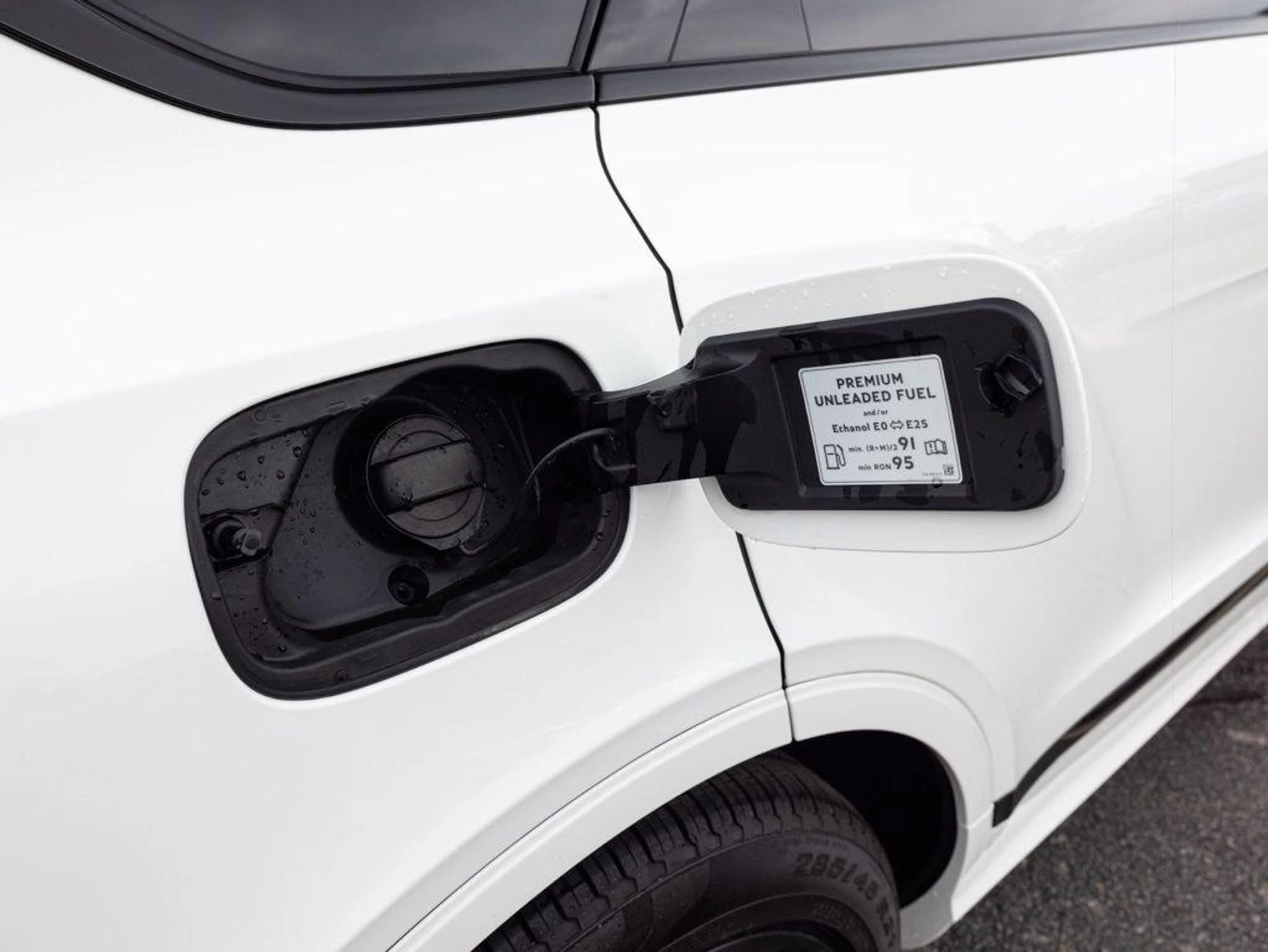 mph066_3752619971_505919897_69c7d832966ffa5d8dbef1e5_67ae26093b