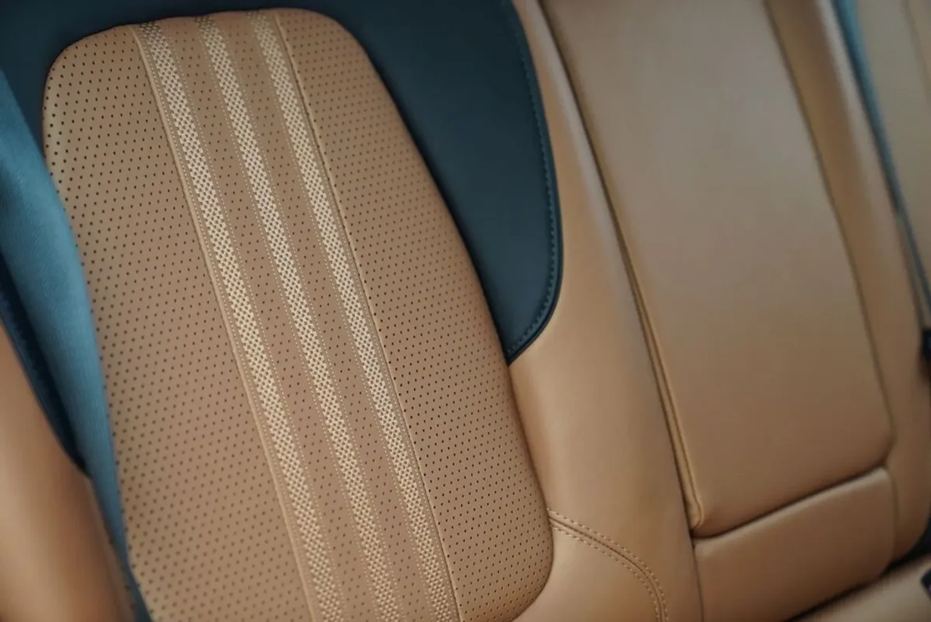 mph066_3762291431_lzoyed5852wq6k7vm1sg09ax3iq6_20ac0ce113