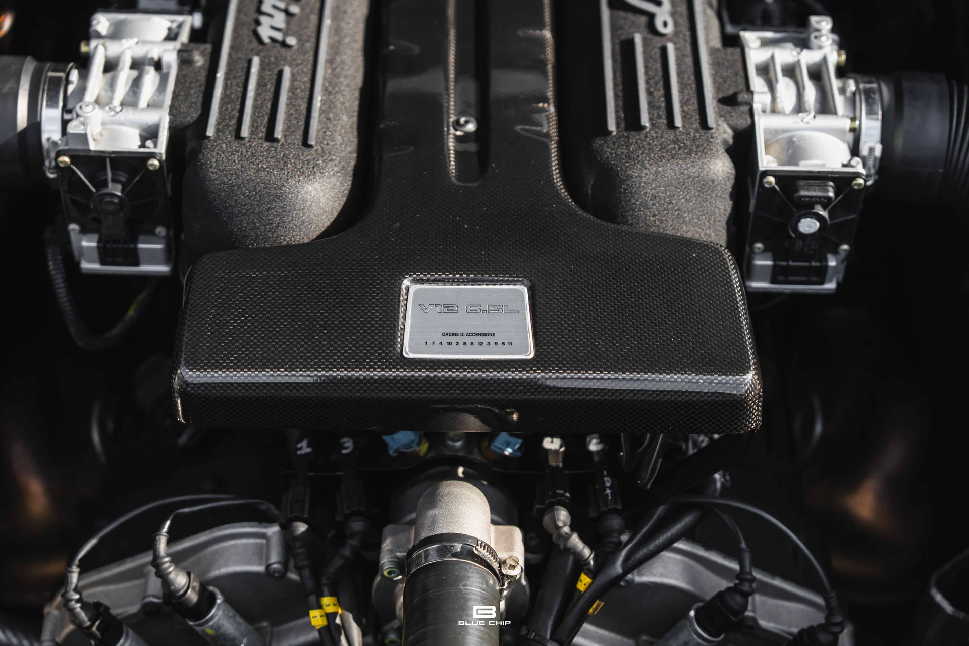 mph066_4142309254_68938496b1a2bd7604e7495d_DSC_01164_c8229a28fa