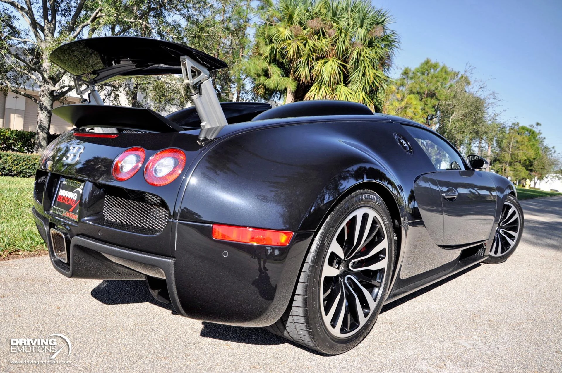 mph066_449538732_479_p67_l_8ee8c0ed32