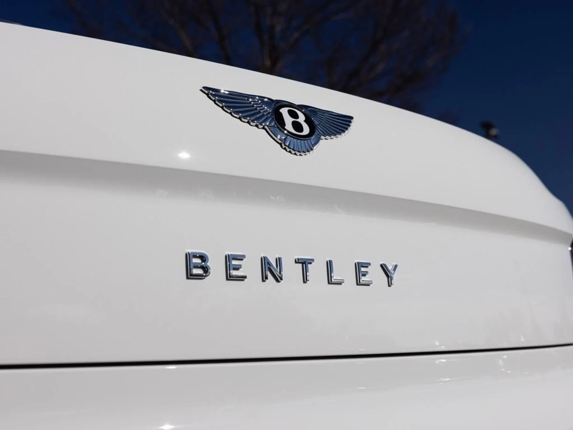 mph067_1032500389_489450284_696fa268247726b502ba2737_0cbd9c8d70