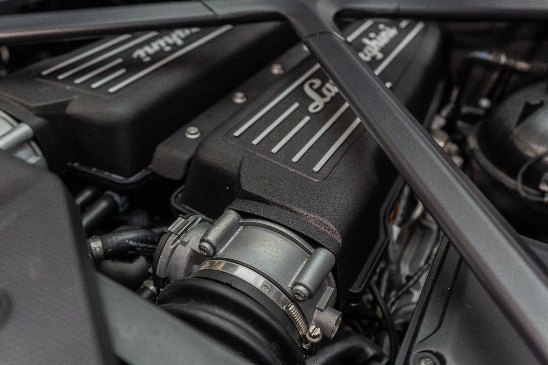 mph067_1847414936_6f98acb41d_1280_474f455a6f