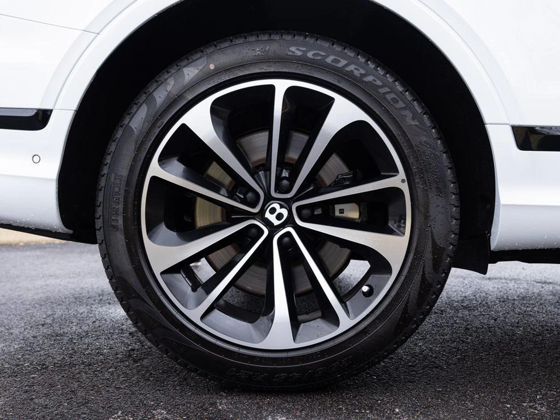 mph067_2348798359_403809831_67c233f46b5617b02de63669_bdfaaf6e6a