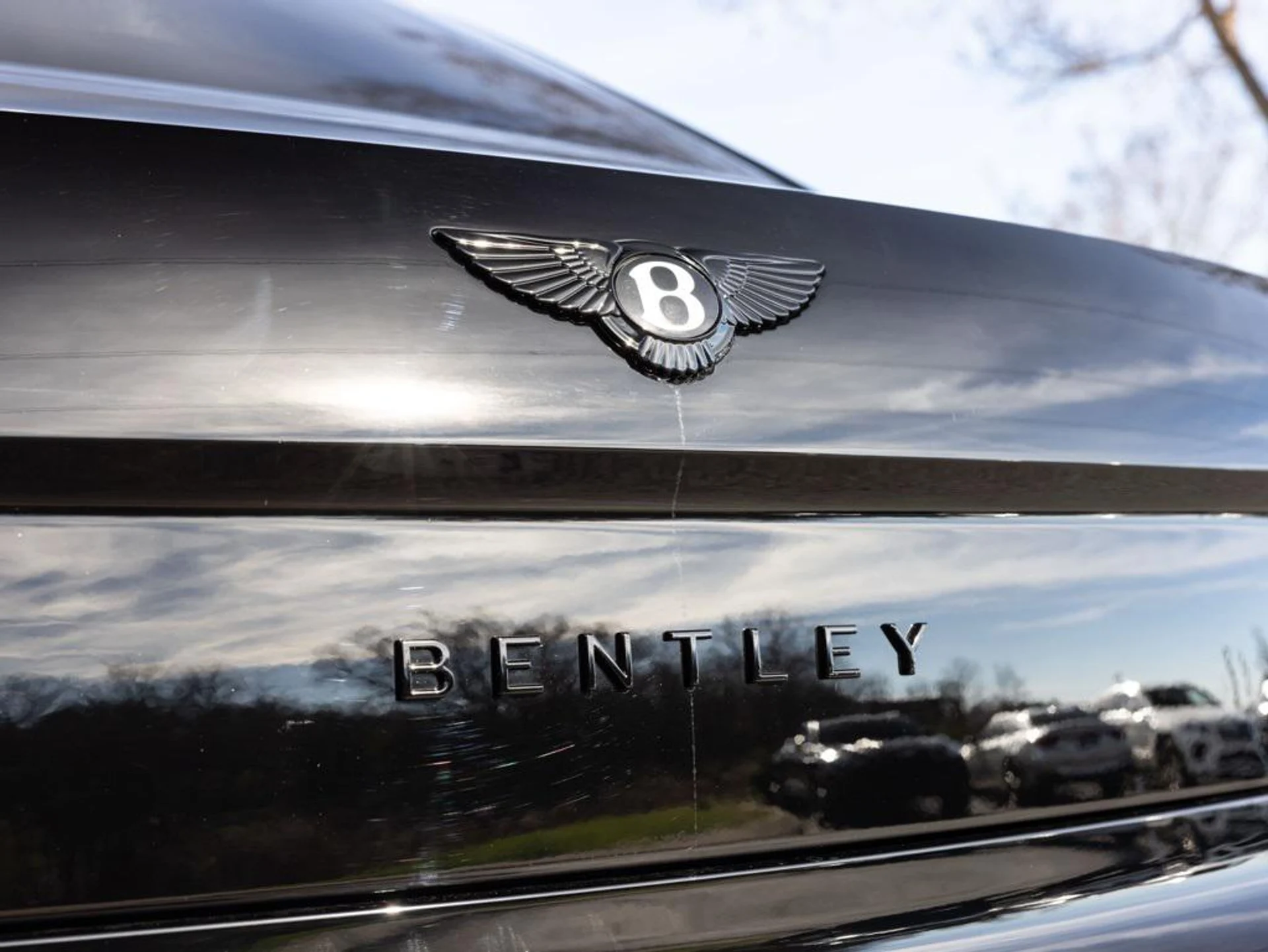 mph067_2748451208_476605579_692b3288d4777c6cf2abe8a1_1123d888e3