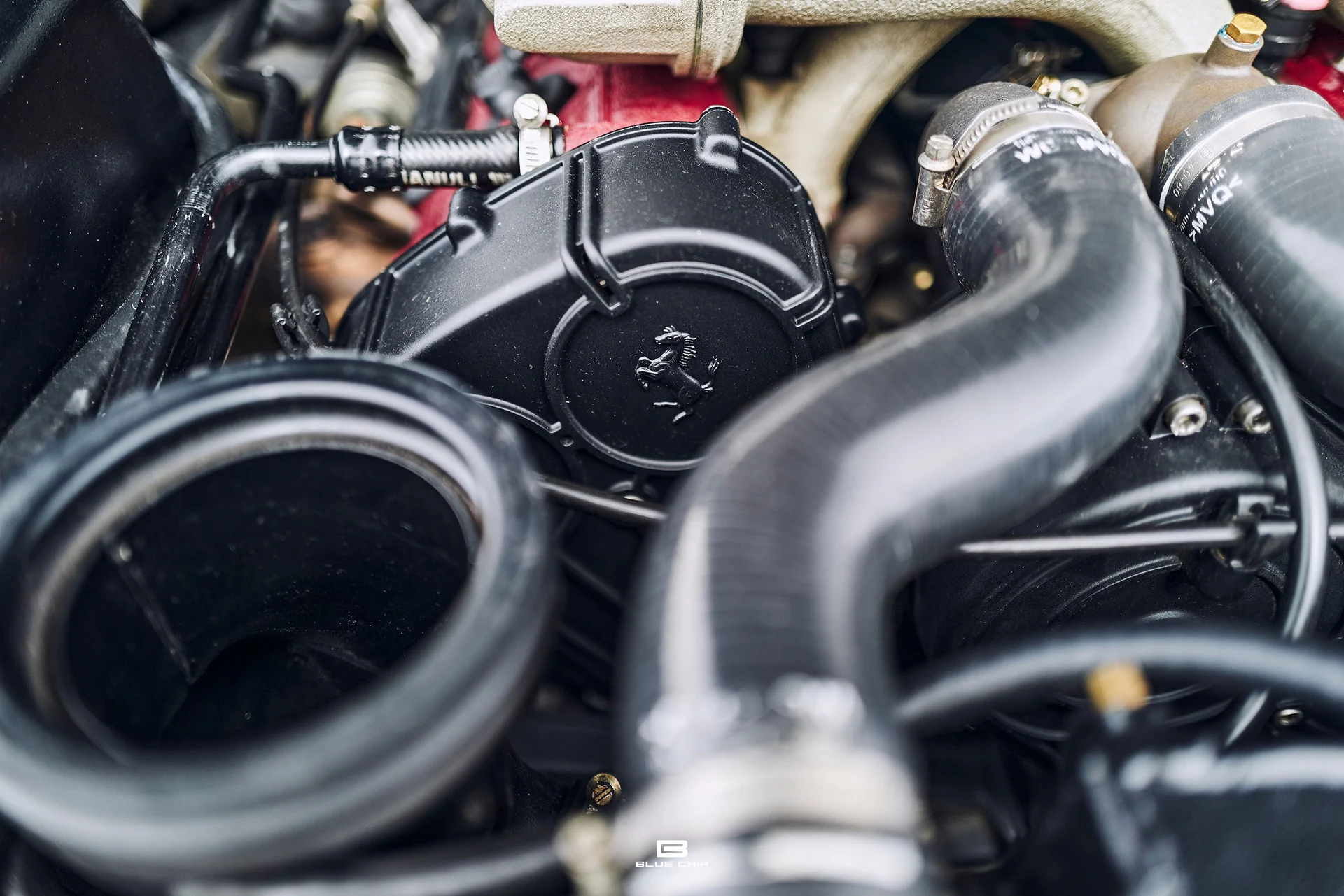 mph067_3329601542_69b474a6a129b02afb911ab6_L1190481_e6b9a9a644