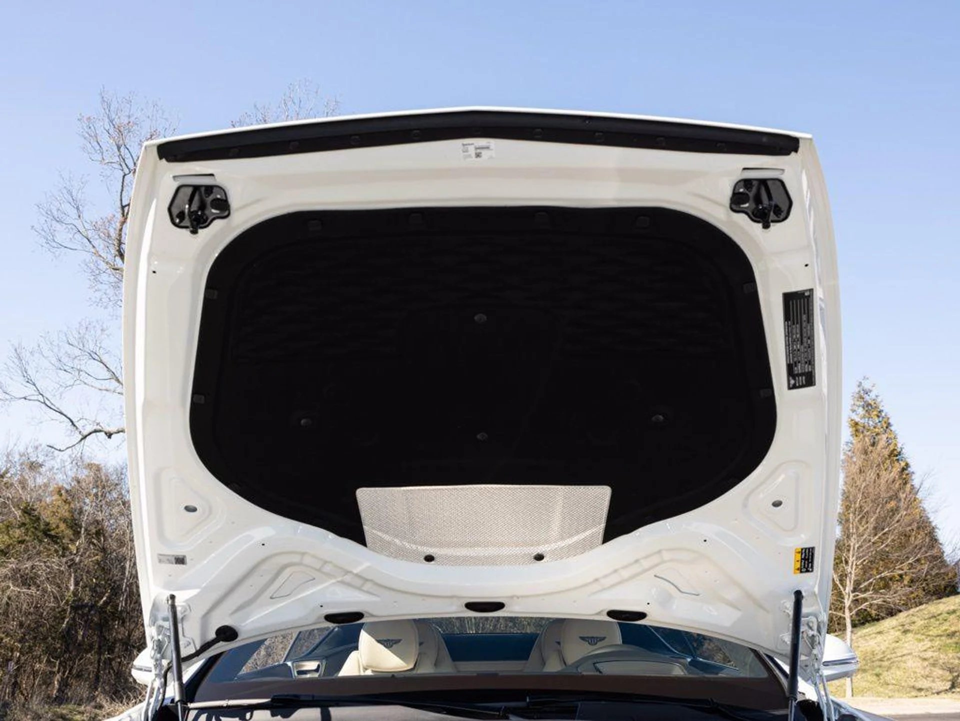 mph067_4103178865_499141765_69a453000431bab765b4b437_6e16946bcb