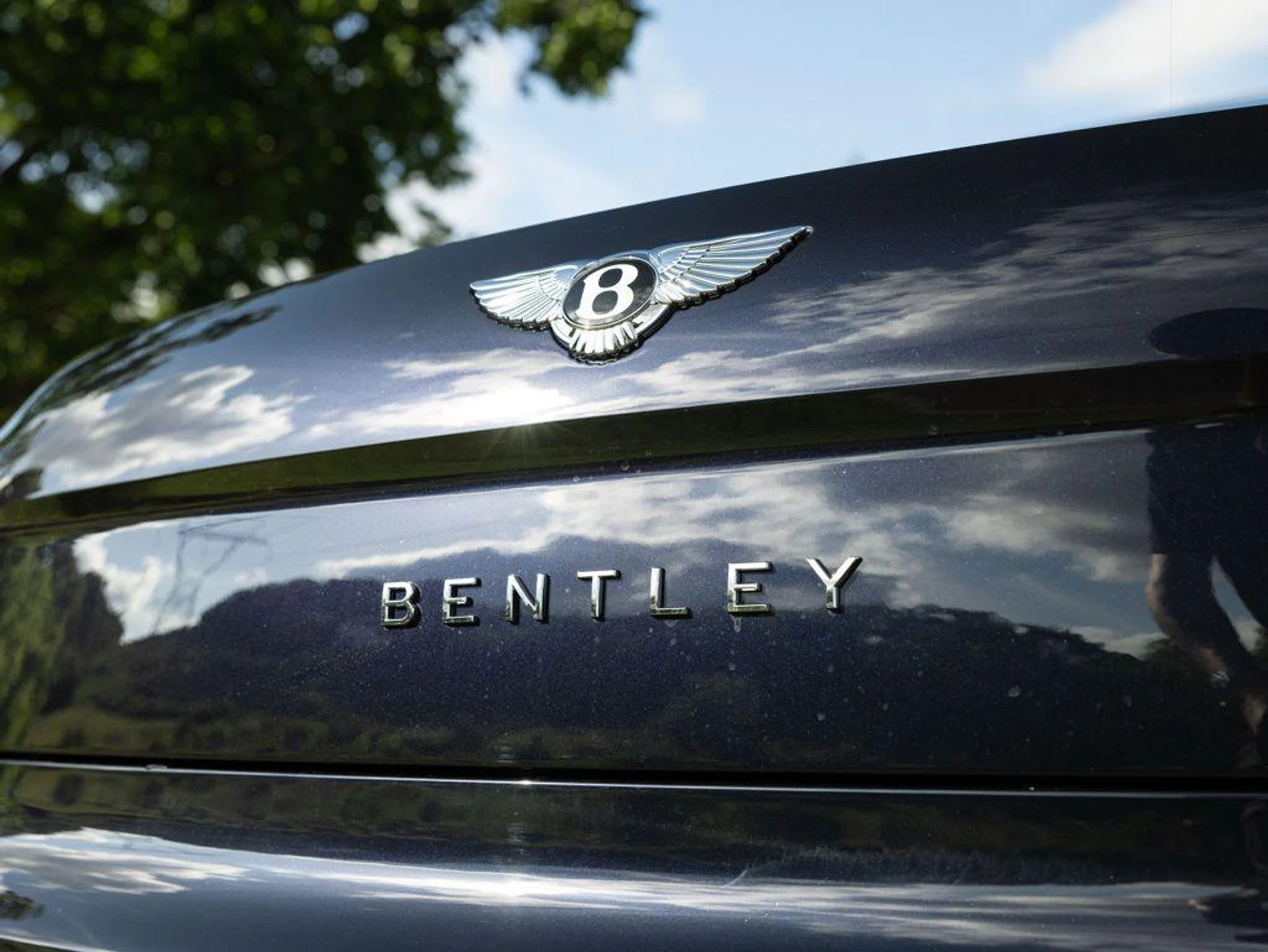 mph067_4128468738_515382885_69f3604c087c98a25cbbb487_8e8857a93b