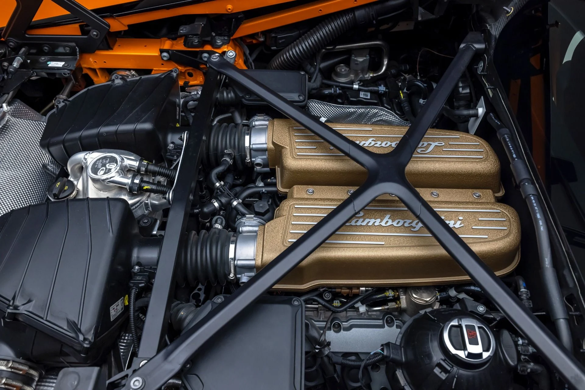 mph068_2024079299_13165_p69_l_d4be7d0275