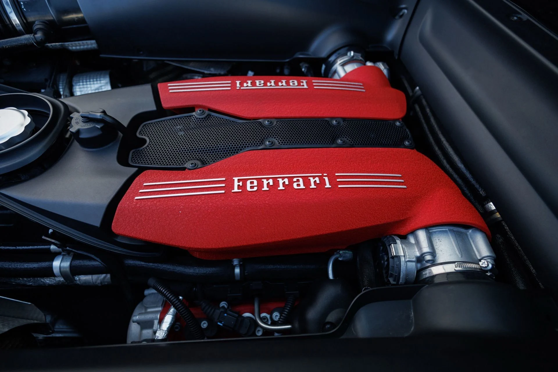 mph068_2610740767_751a8d9e78e36dd97aa886d875e4c7a6x_807ebb1d57