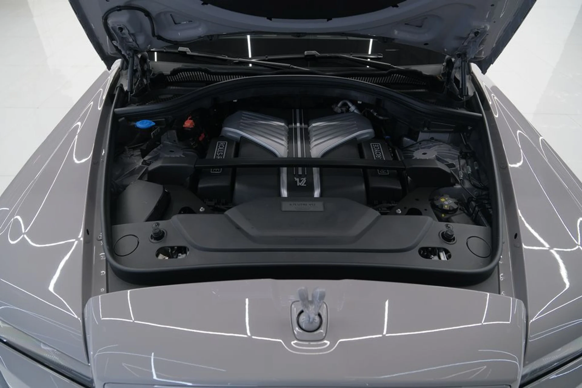 mph068_2785645020_f8eb7ae138161b2fbefa071a9e069f12_e4624a9737