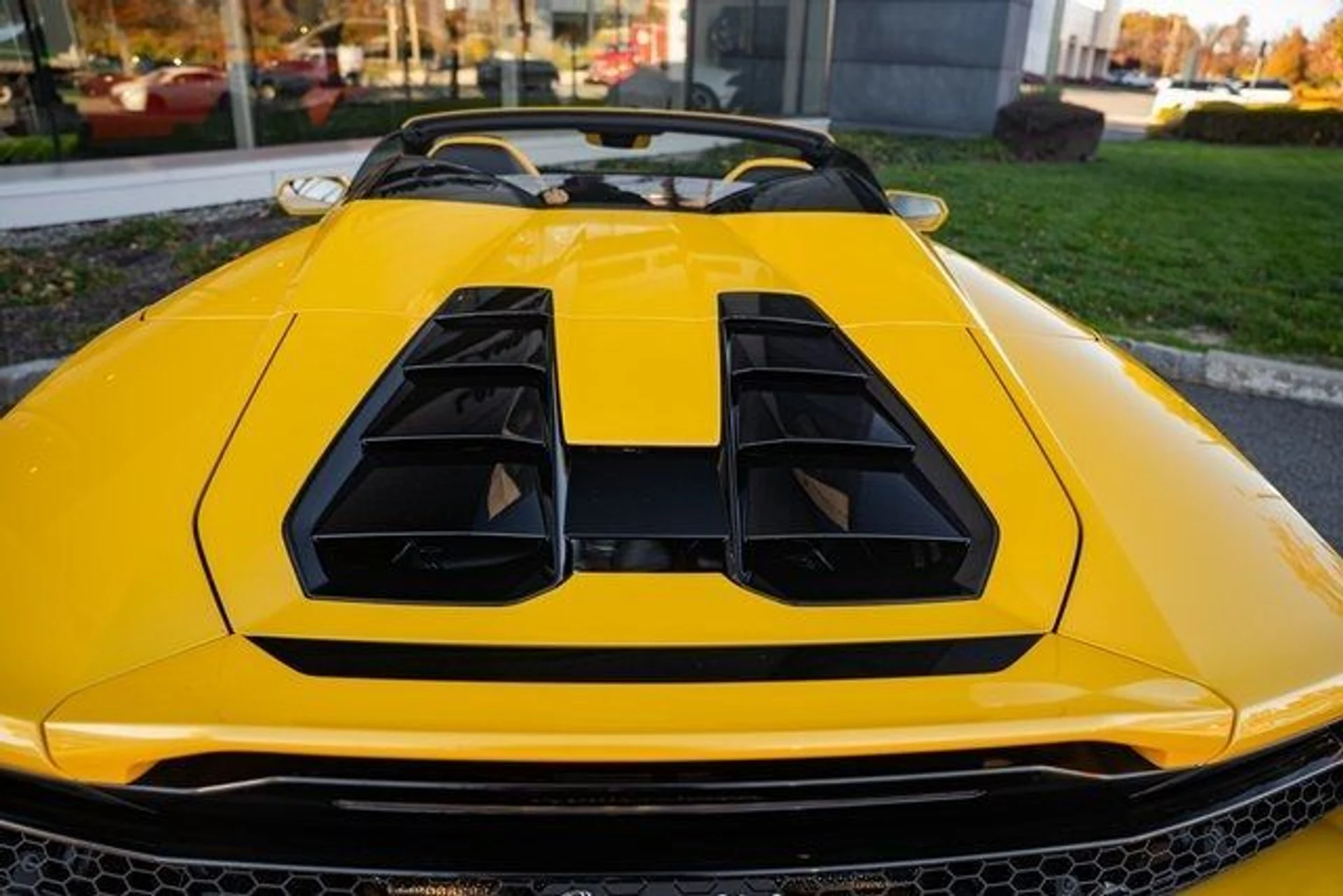 mph068_2892383314_f601c70542c3fc6c7da6552af46e7202_16906e9aab