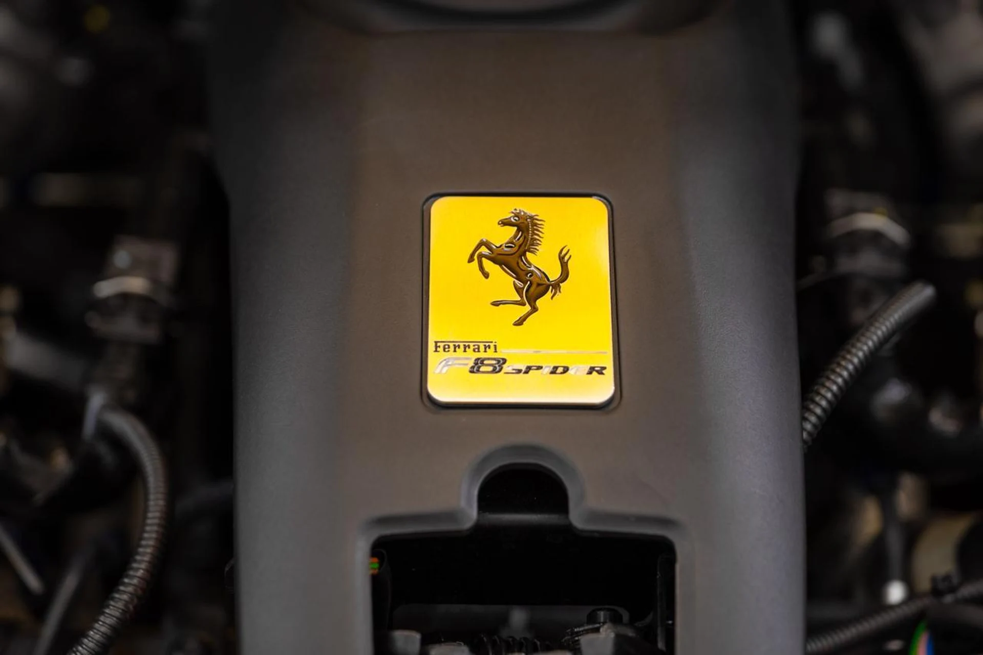 mph068_3168981842_e5bcdad050a46eb5a8a5fe796c827fe2_0854d6c191