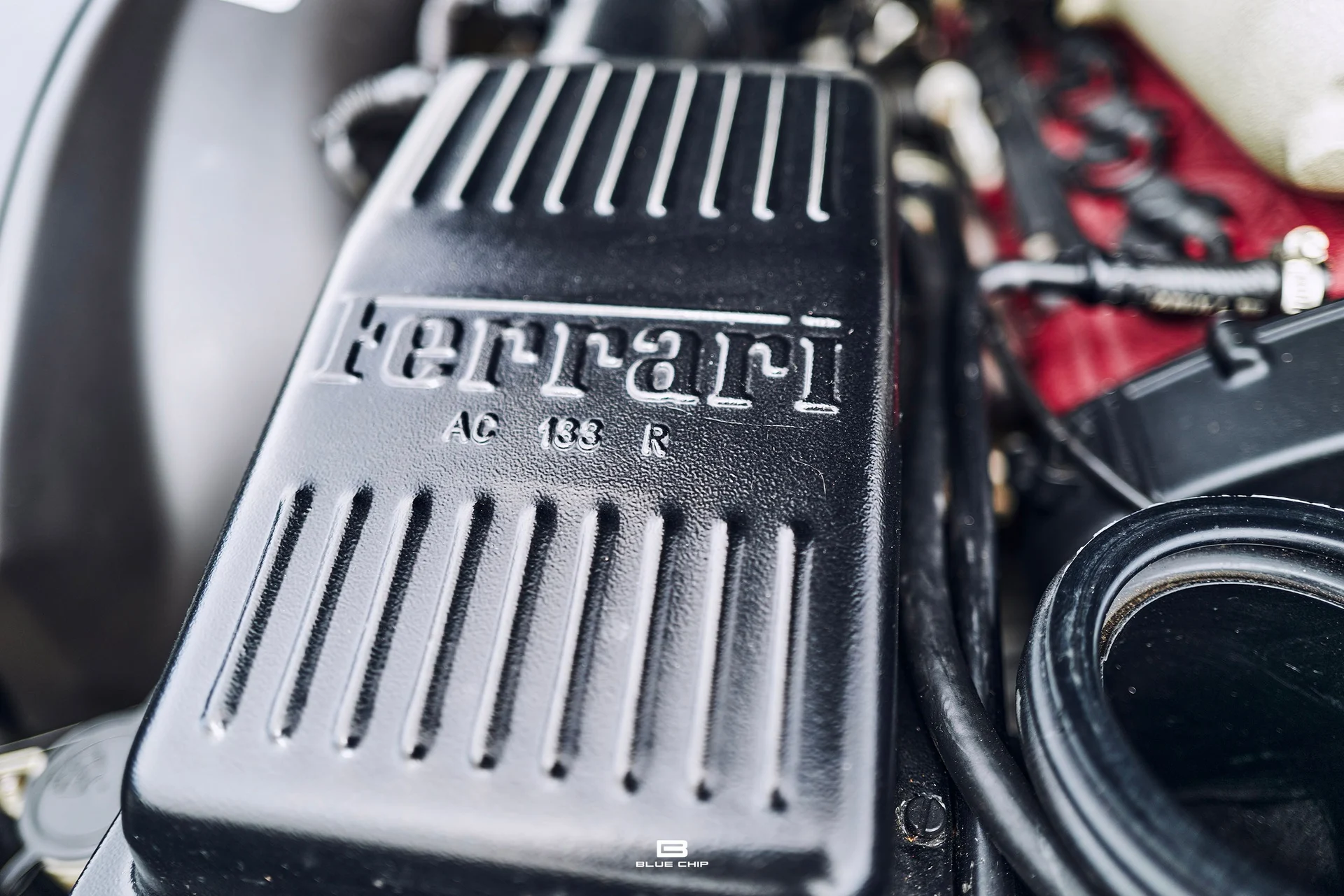 mph068_3990794917_69b474a6c42f9fdaad265853_L1190482_9edc5b56ba