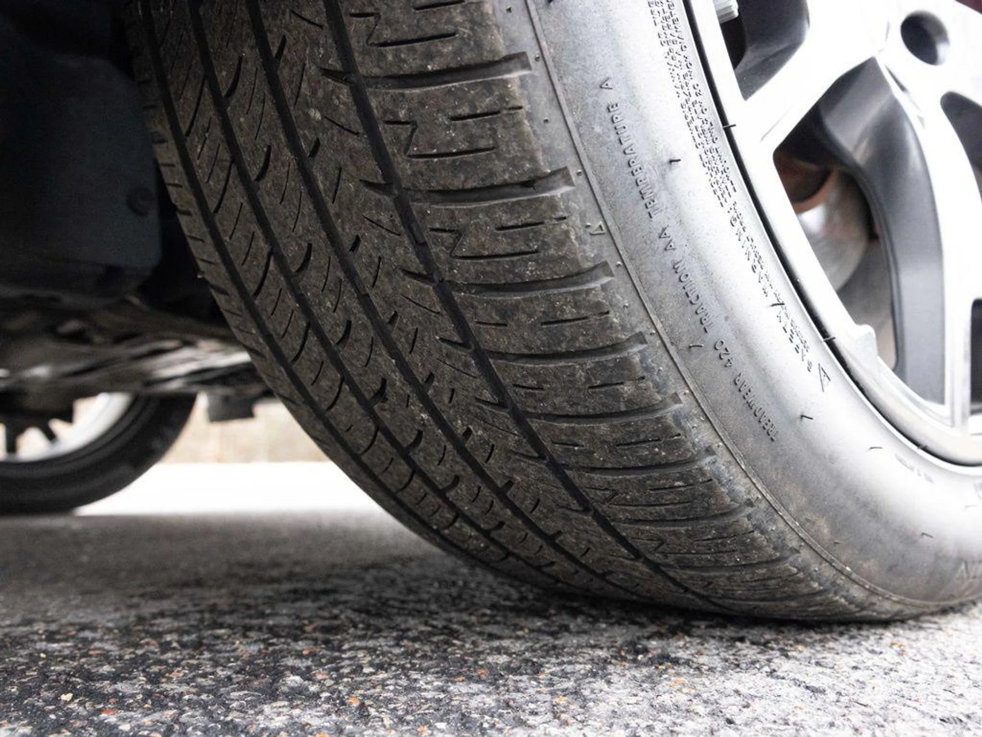 mph068_4071435584_490082366_697e1d90241a57c3178ffff0_bf99065d1e