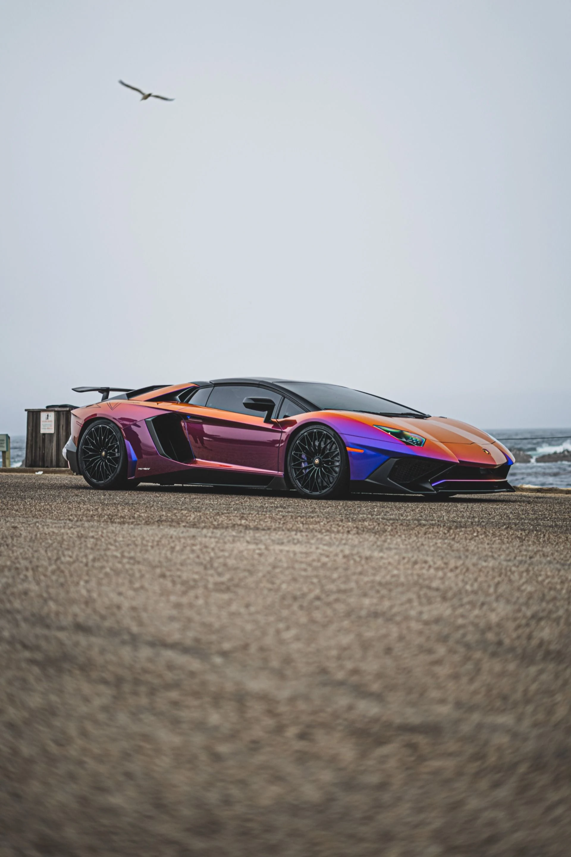 mph069_1046016544_8742_p70_l_cdfc541ff4